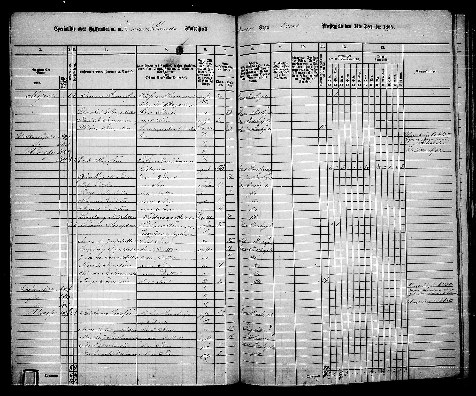 RA, 1865 census for Eiker, 1865, p. 455