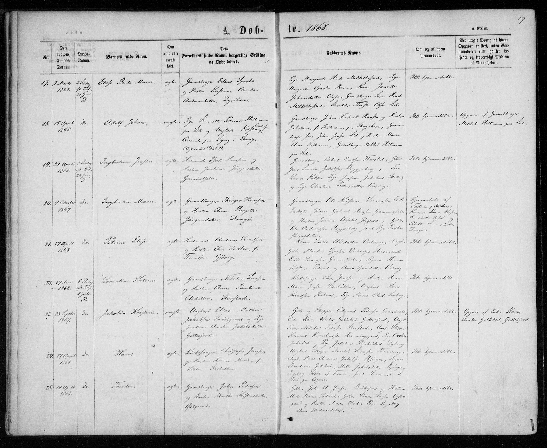Tranøy sokneprestkontor, AV/SATØ-S-1313/I/Ia/Iaa/L0008kirke: Parish register (official) no. 8, 1867-1877, p. 19