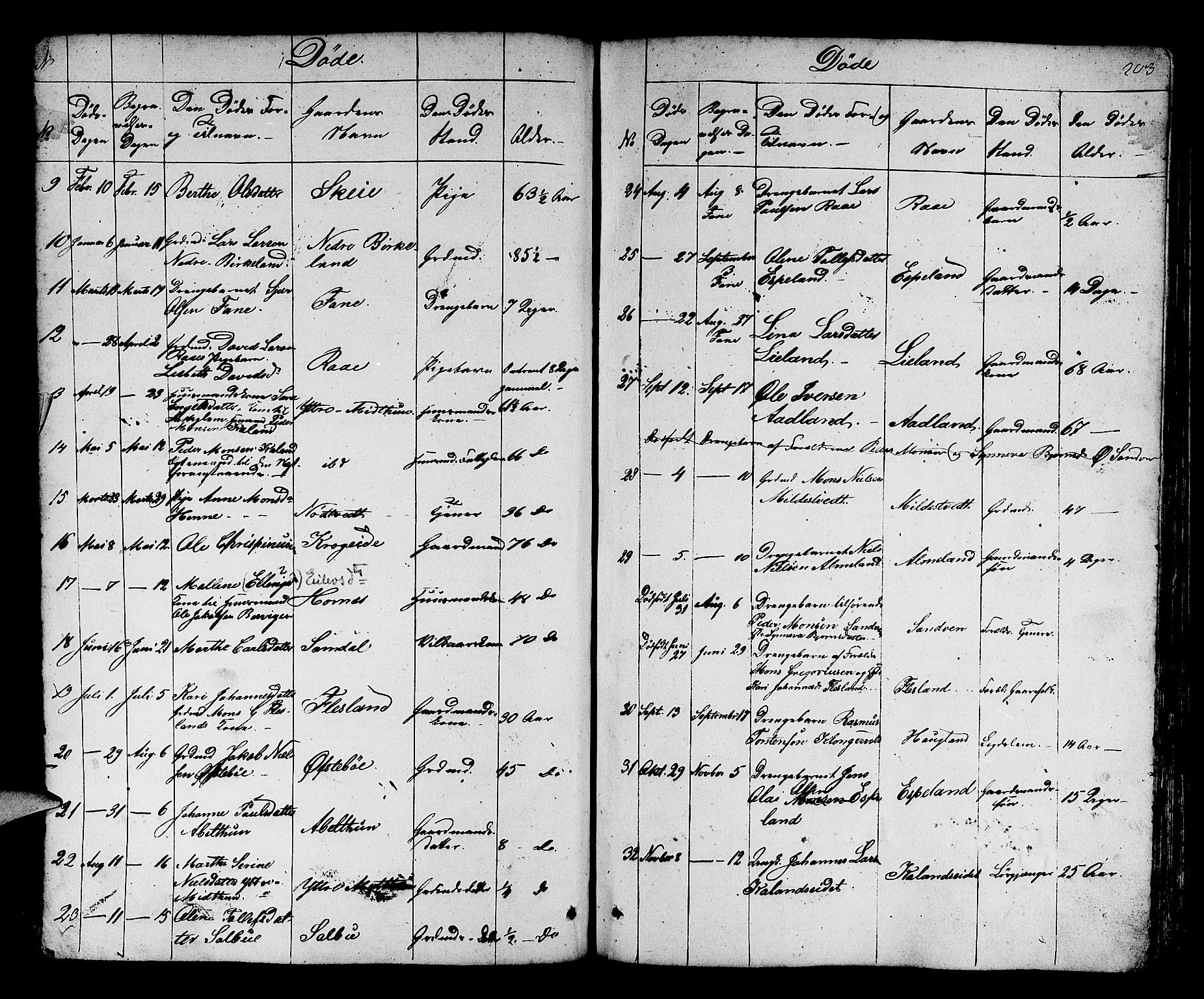 Fana Sokneprestembete, SAB/A-75101/H/Hab/Habb/L0001: Parish register (copy) no. B 1, 1837-1855, p. 203