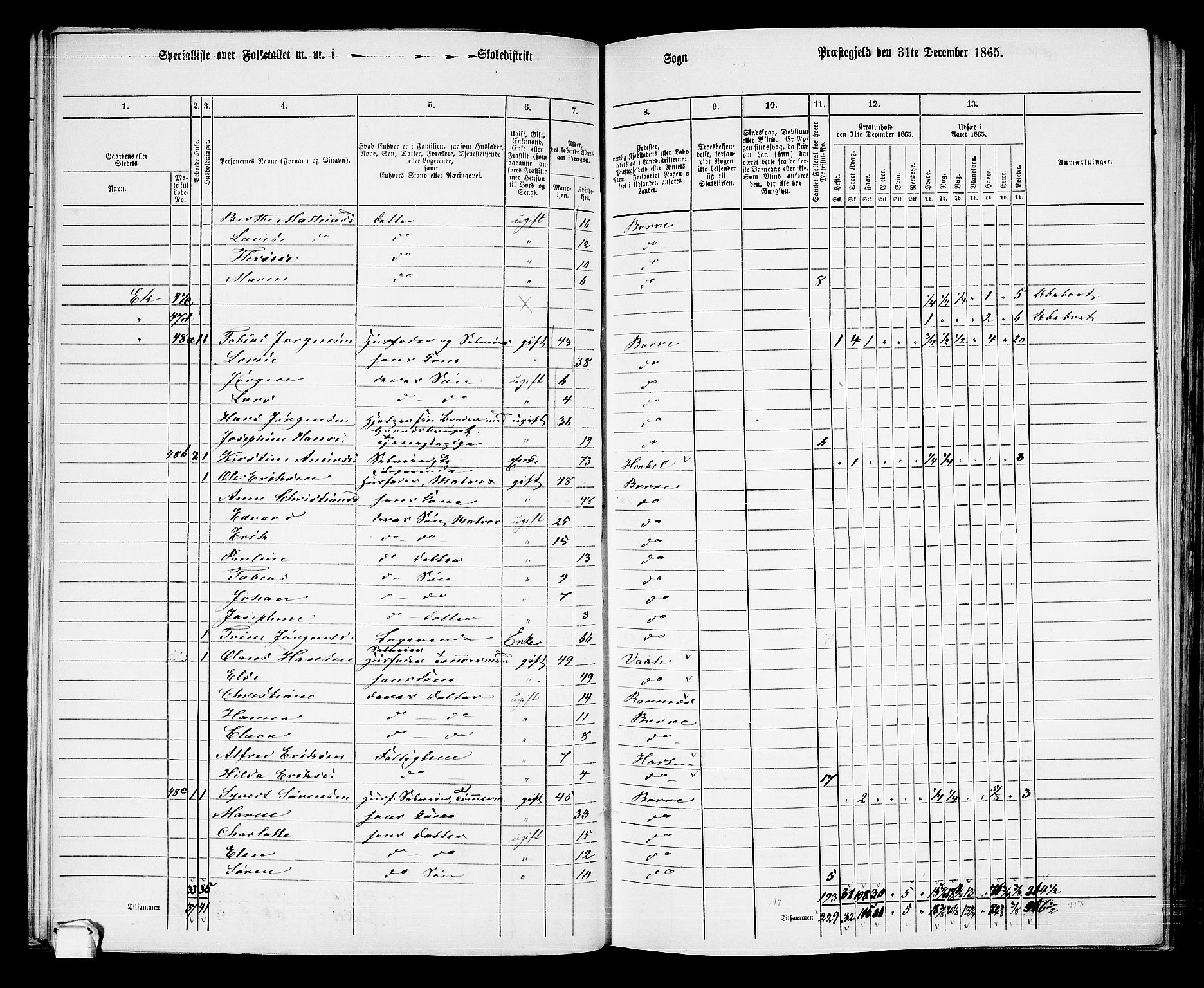 RA, 1865 census for Borre, 1865, p. 70