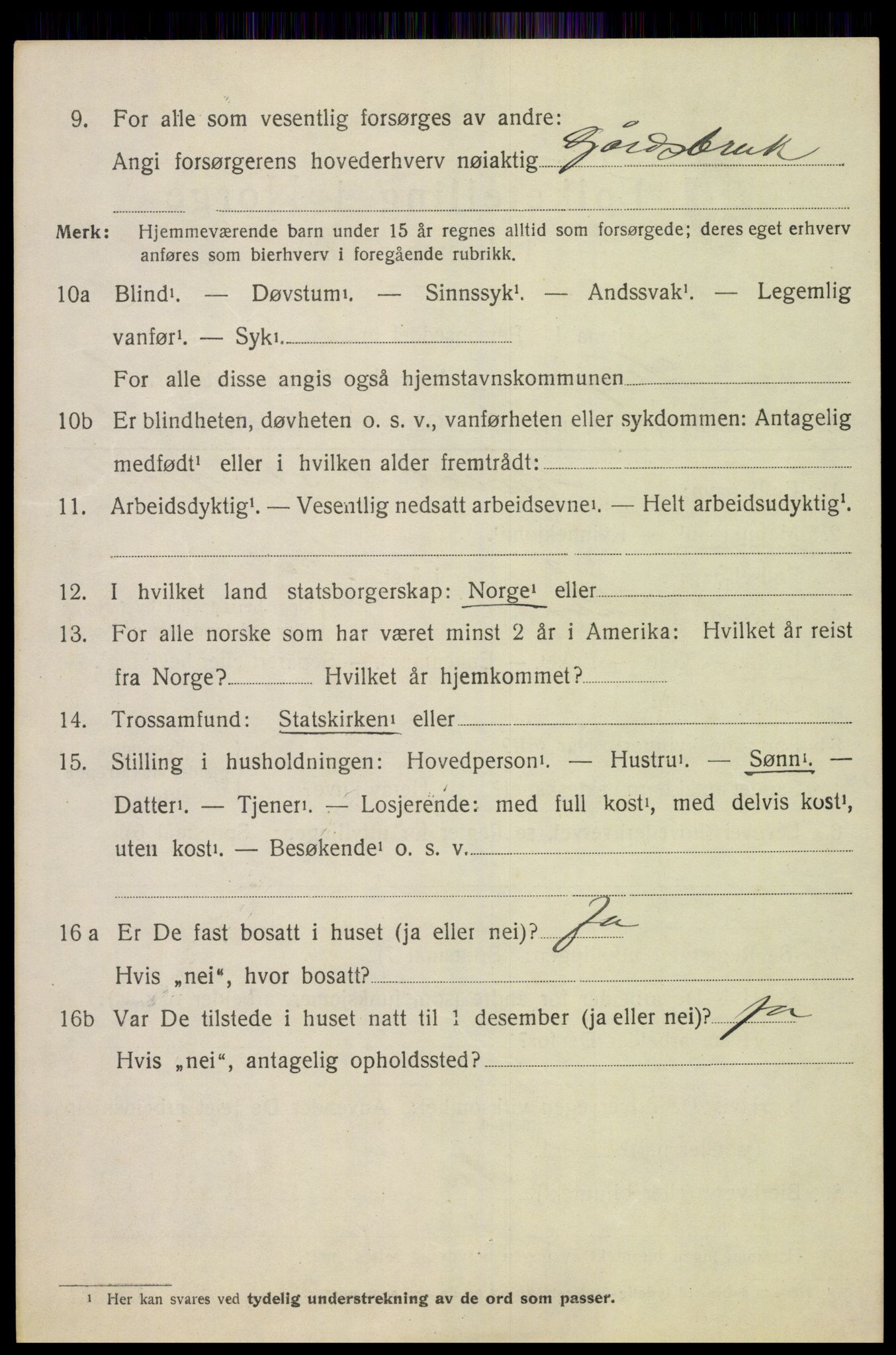 SAH, 1920 census for Lesja, 1920, p. 1055