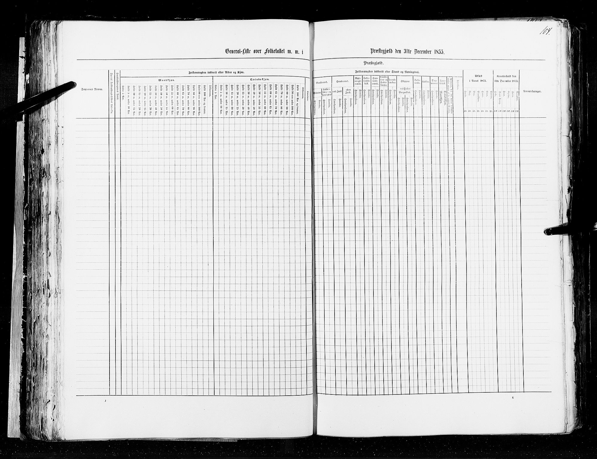 RA, Census 1855, vol. 2: Kristians amt, Buskerud amt og Jarlsberg og Larvik amt, 1855, p. 104