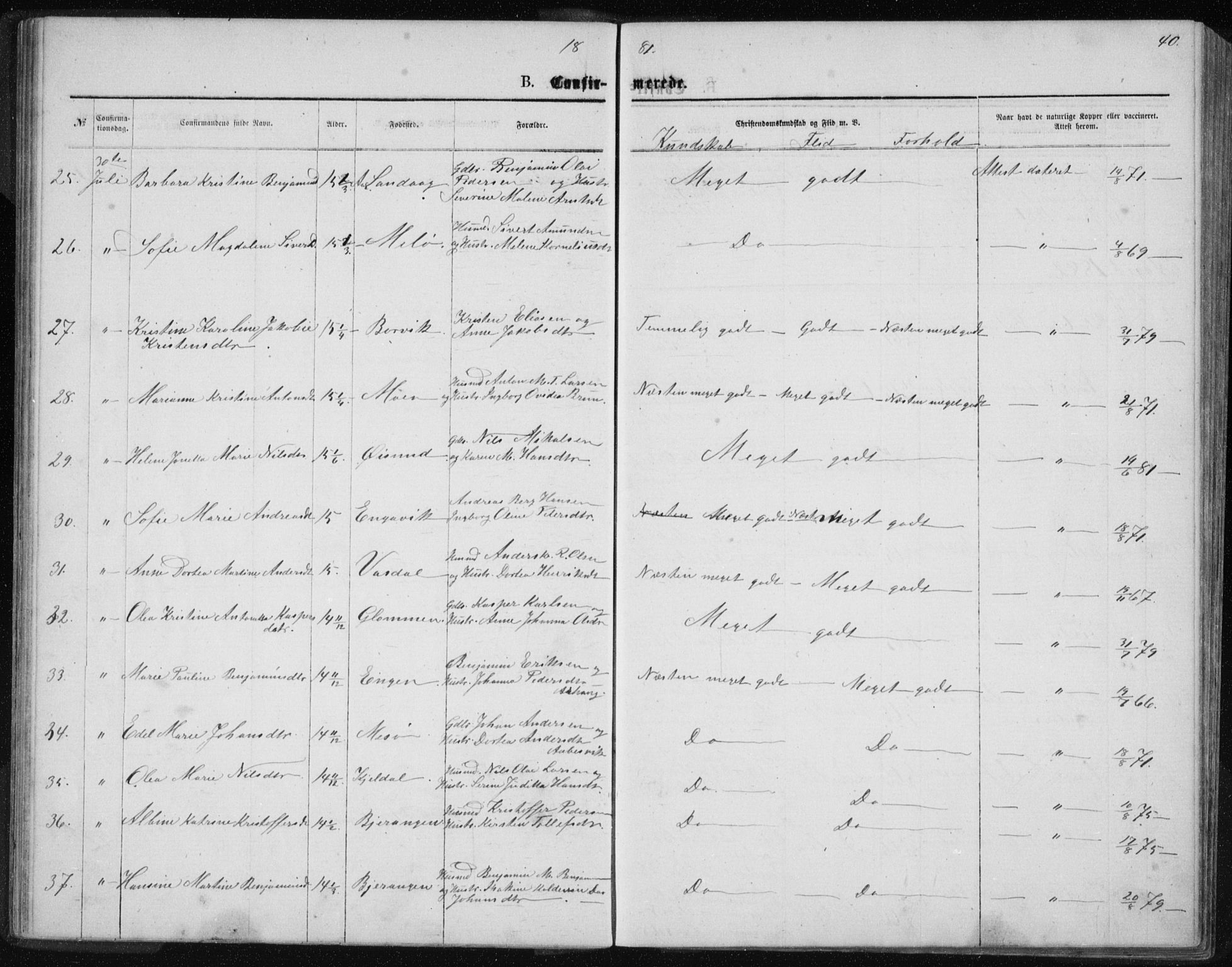 Ministerialprotokoller, klokkerbøker og fødselsregistre - Nordland, AV/SAT-A-1459/843/L0635: Parish register (copy) no. 843C04, 1872-1887, p. 40