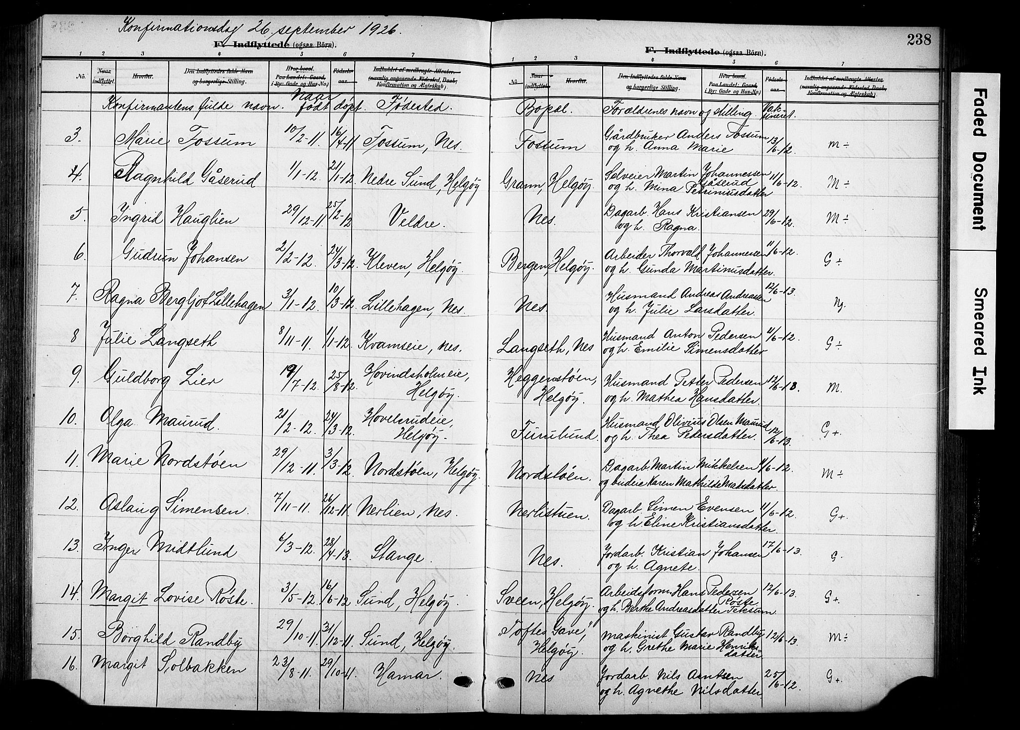Nes prestekontor, Hedmark, SAH/PREST-020/K/Ka/L0014: Parish register (official) no. 14, 1906-1929, p. 238