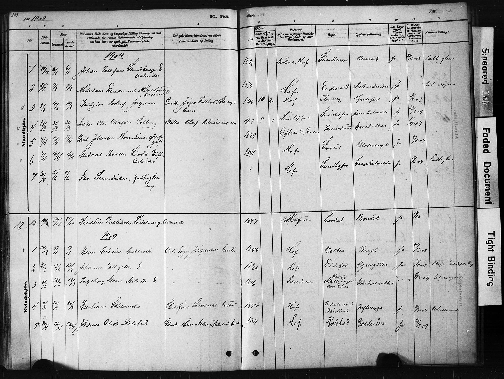 Hof kirkebøker, SAKO/A-64/G/Ga/L0004: Parish register (copy) no. I 4, 1878-1930, p. 289