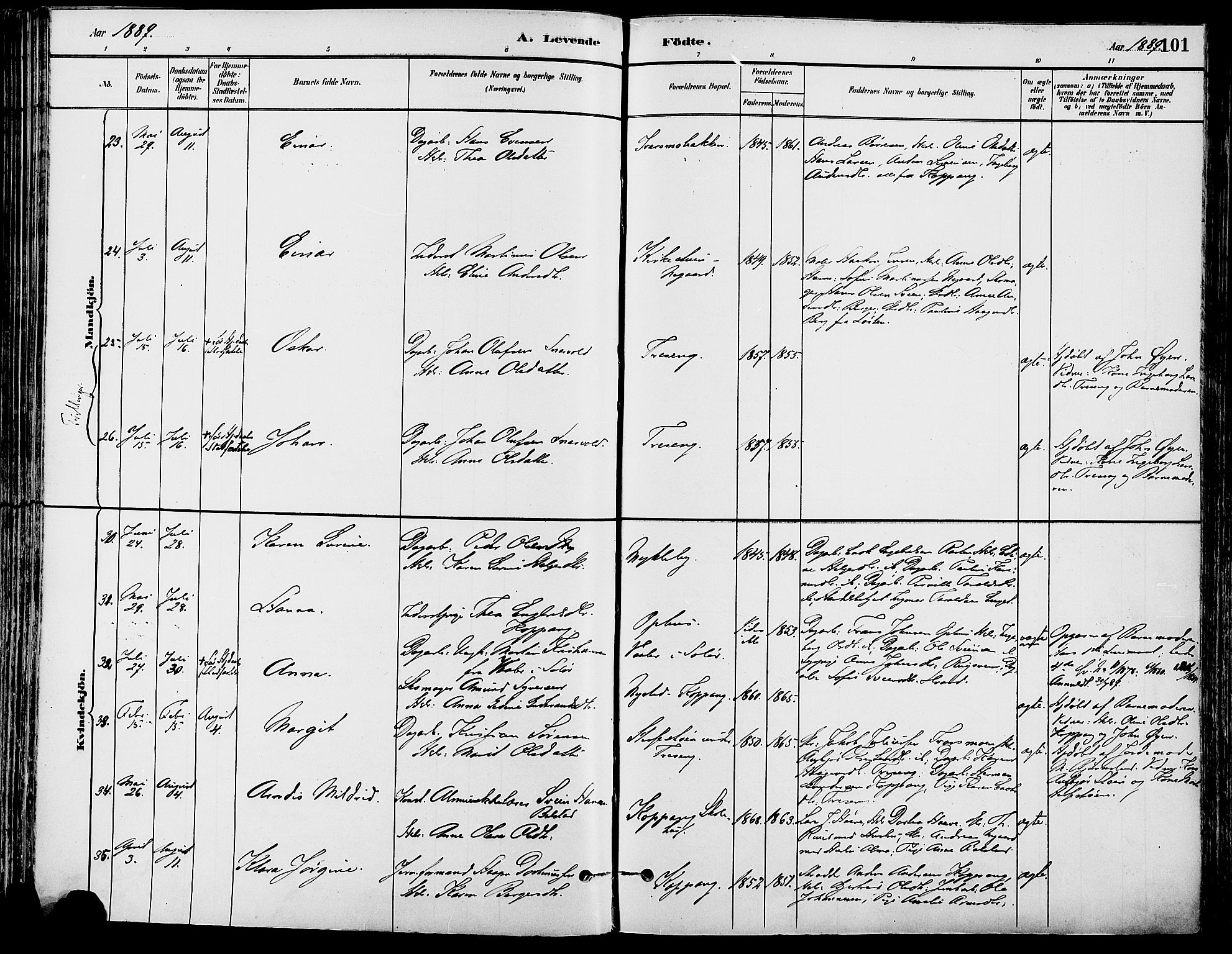 Stor-Elvdal prestekontor, SAH/PREST-052/H/Ha/Haa/L0002: Parish register (official) no. 2, 1882-1907, p. 101
