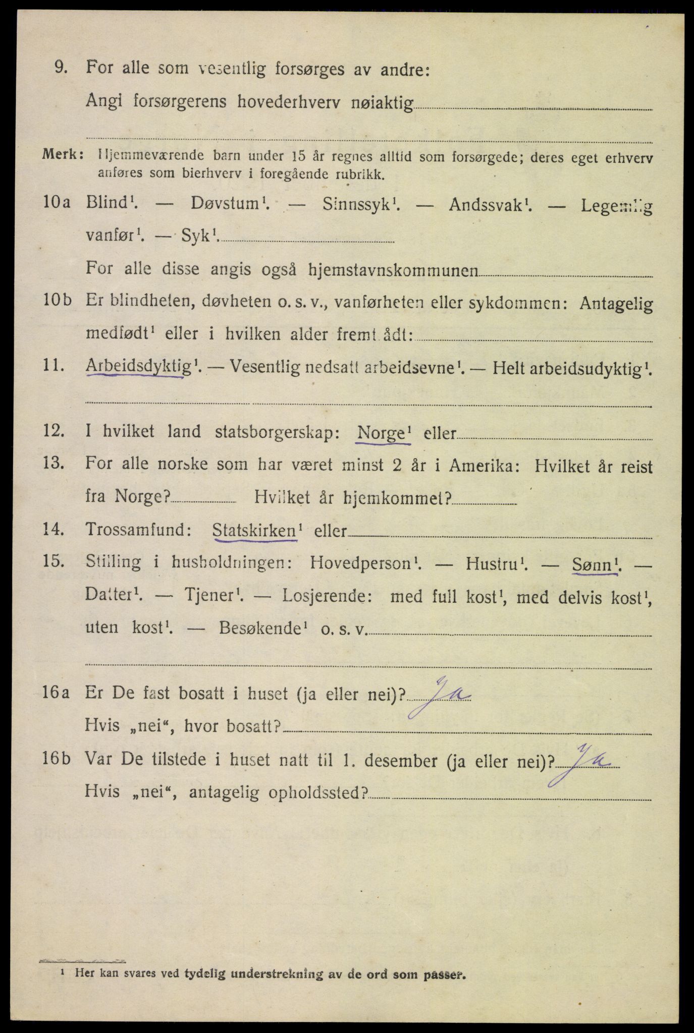 SAH, 1920 census for Kolbu, 1920, p. 3733