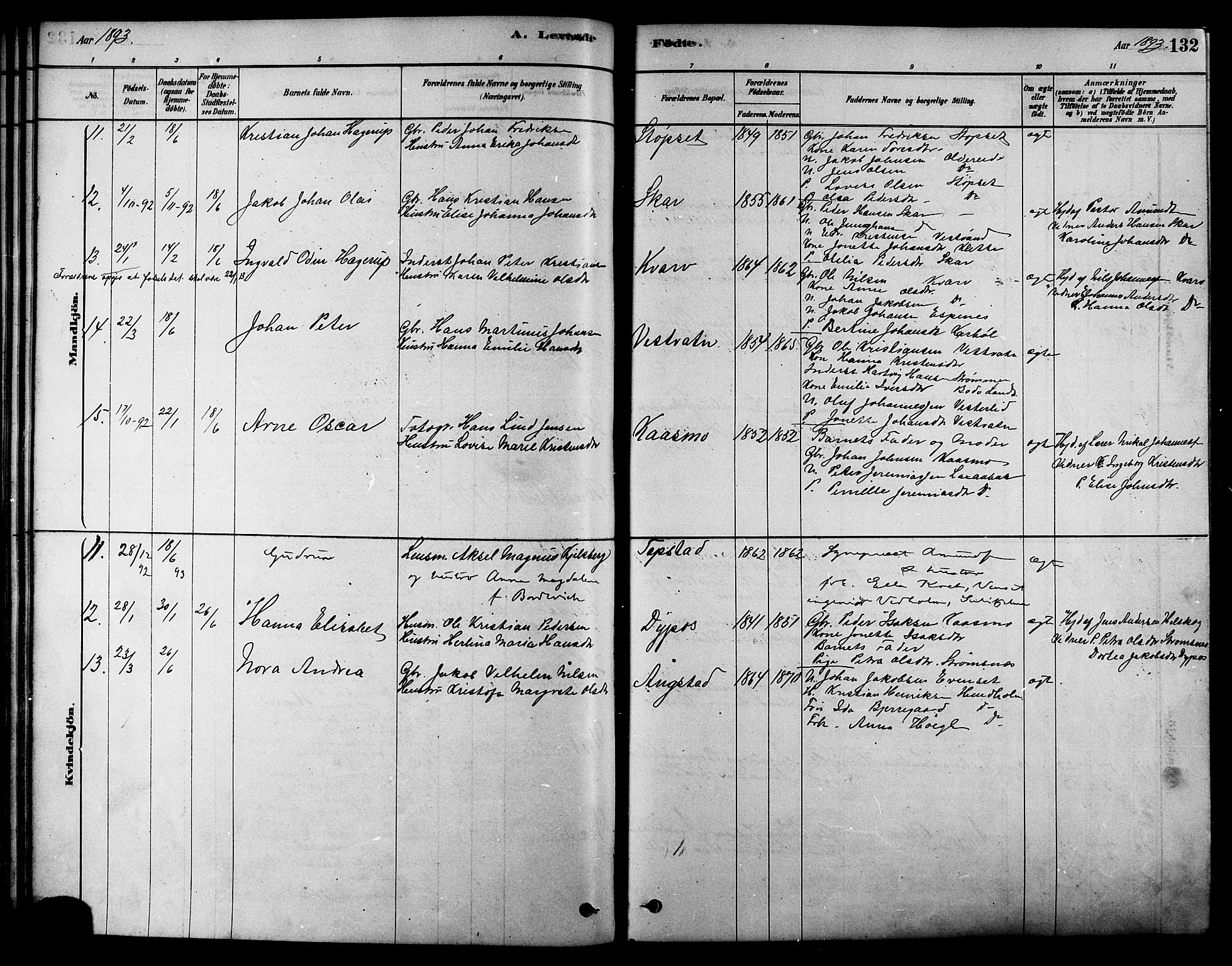 Ministerialprotokoller, klokkerbøker og fødselsregistre - Nordland, AV/SAT-A-1459/852/L0740: Parish register (official) no. 852A10, 1878-1894, p. 132