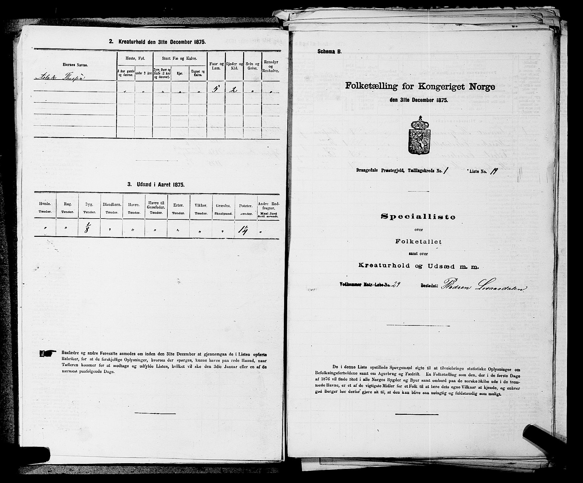 SAKO, 1875 census for 0817P Drangedal, 1875, p. 89