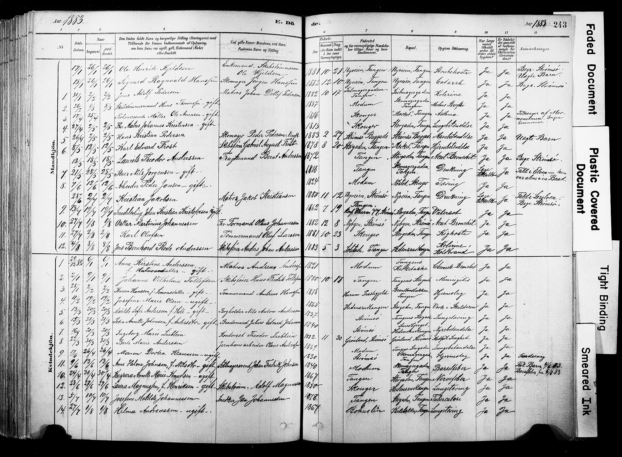 Strømsø kirkebøker, AV/SAKO-A-246/F/Fb/L0006: Parish register (official) no. II 6, 1879-1910, p. 243