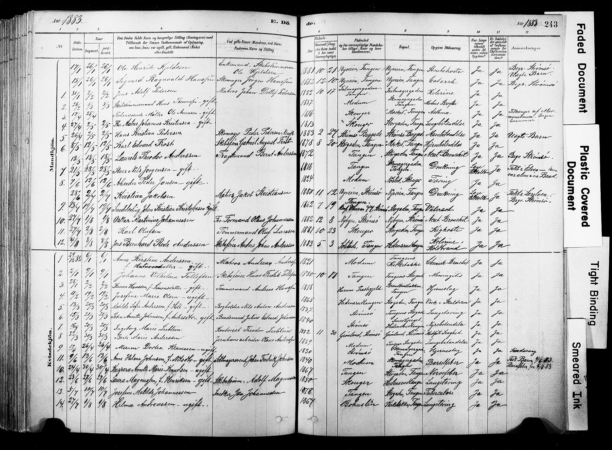 Strømsø kirkebøker, SAKO/A-246/F/Fb/L0006: Parish register (official) no. II 6, 1879-1910, p. 243