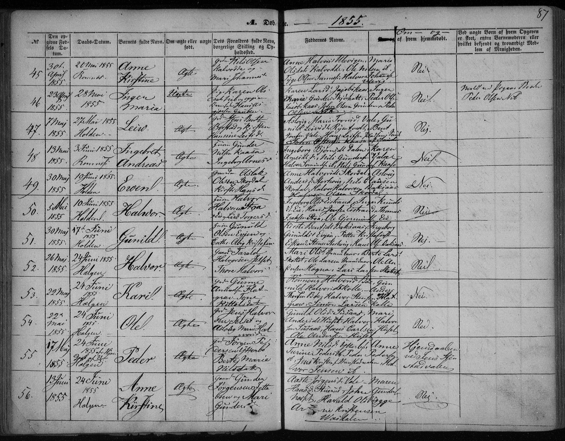 Holla kirkebøker, SAKO/A-272/F/Fa/L0005: Parish register (official) no. 5, 1849-1860, p. 87