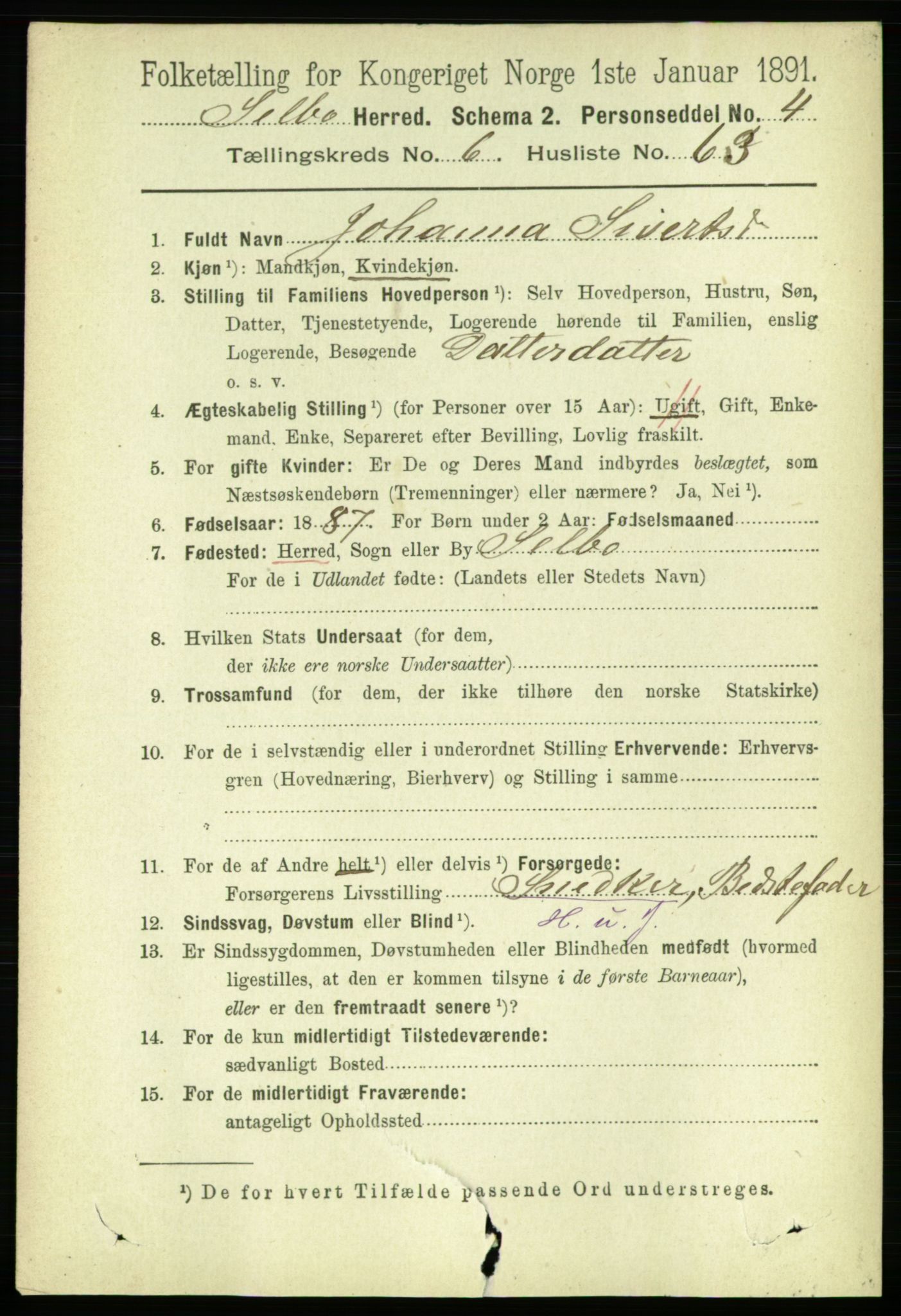 RA, 1891 census for 1664 Selbu, 1891, p. 2517