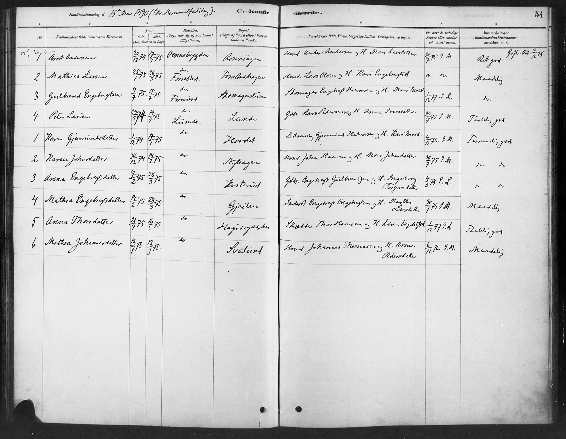 Ringebu prestekontor, SAH/PREST-082/H/Ha/Haa/L0010: Parish register (official) no. 10, 1878-1898, p. 54