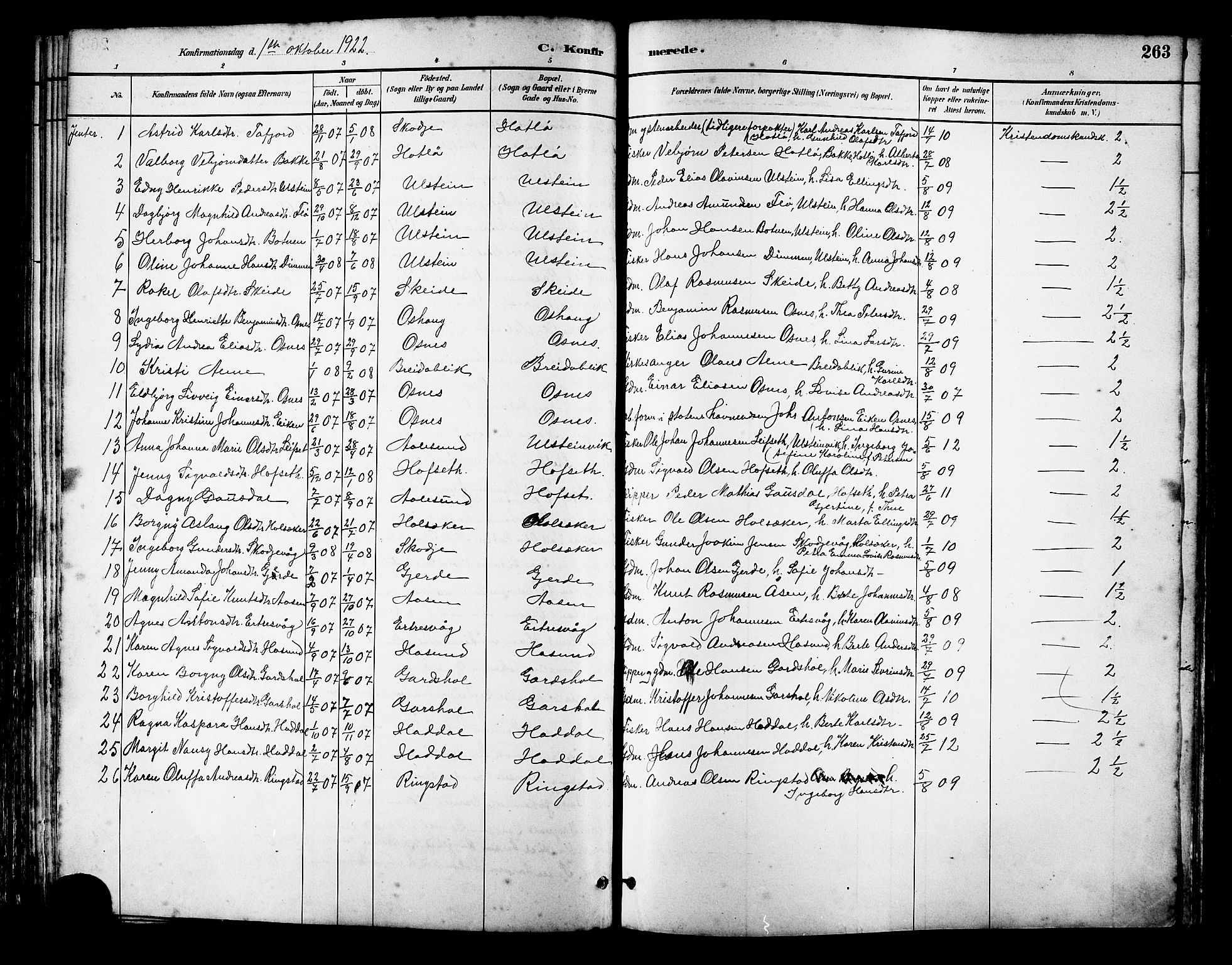 Ministerialprotokoller, klokkerbøker og fødselsregistre - Møre og Romsdal, AV/SAT-A-1454/509/L0112: Parish register (copy) no. 509C02, 1883-1922, p. 263