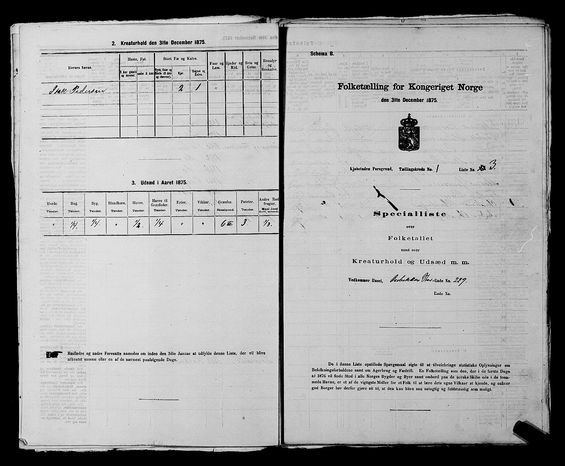 SAKO, 1875 census for 0805P Porsgrunn, 1875, p. 35