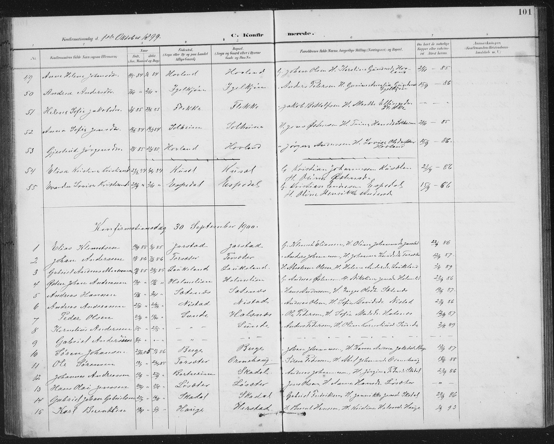 Fjaler sokneprestembete, SAB/A-79801/H/Hab/Habc/L0003: Parish register (copy) no. C 3, 1894-1917, p. 101