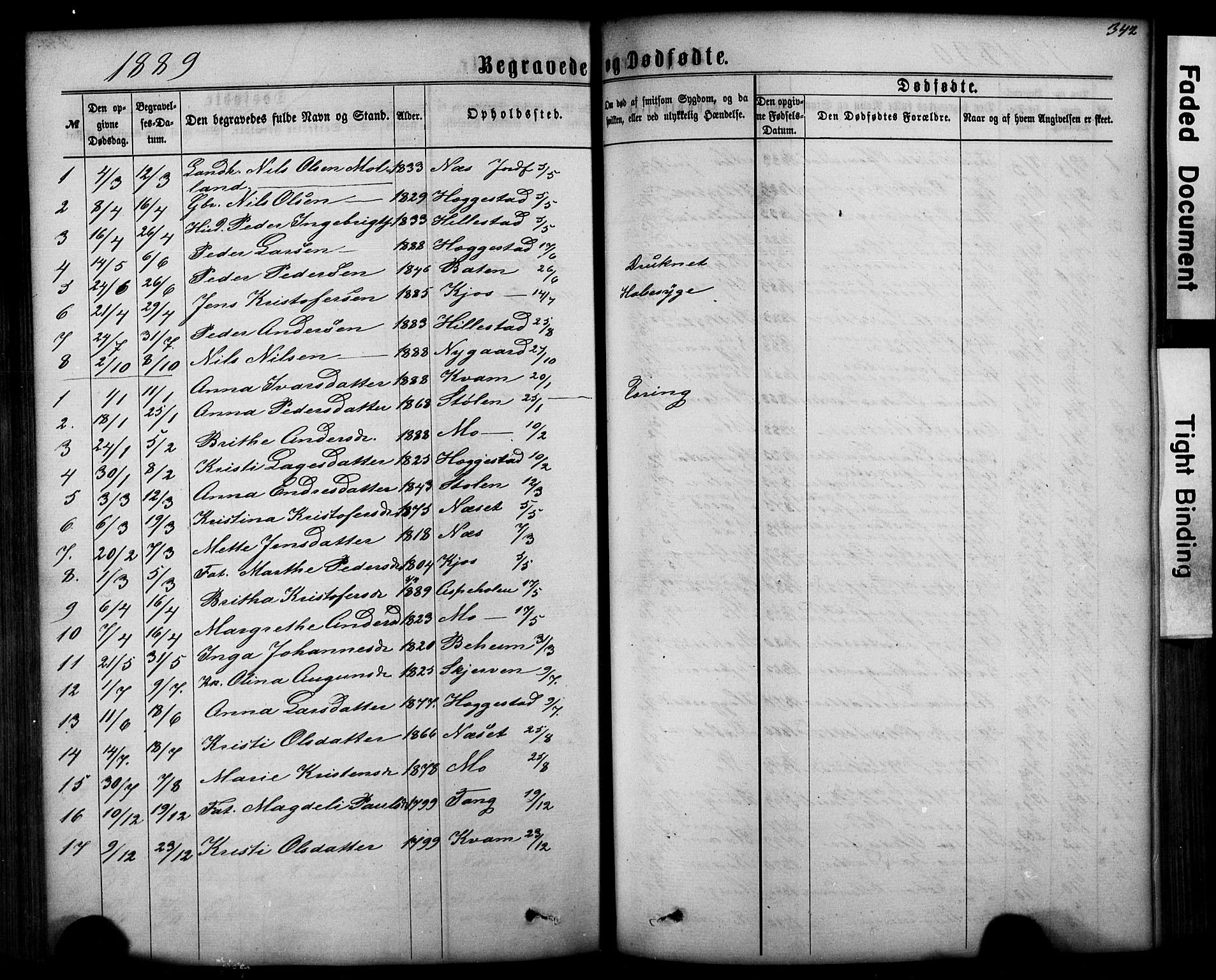 Hafslo sokneprestembete, AV/SAB-A-80301/H/Hab/Haba/L0001: Parish register (copy) no. A 1, 1866-1908, p. 342