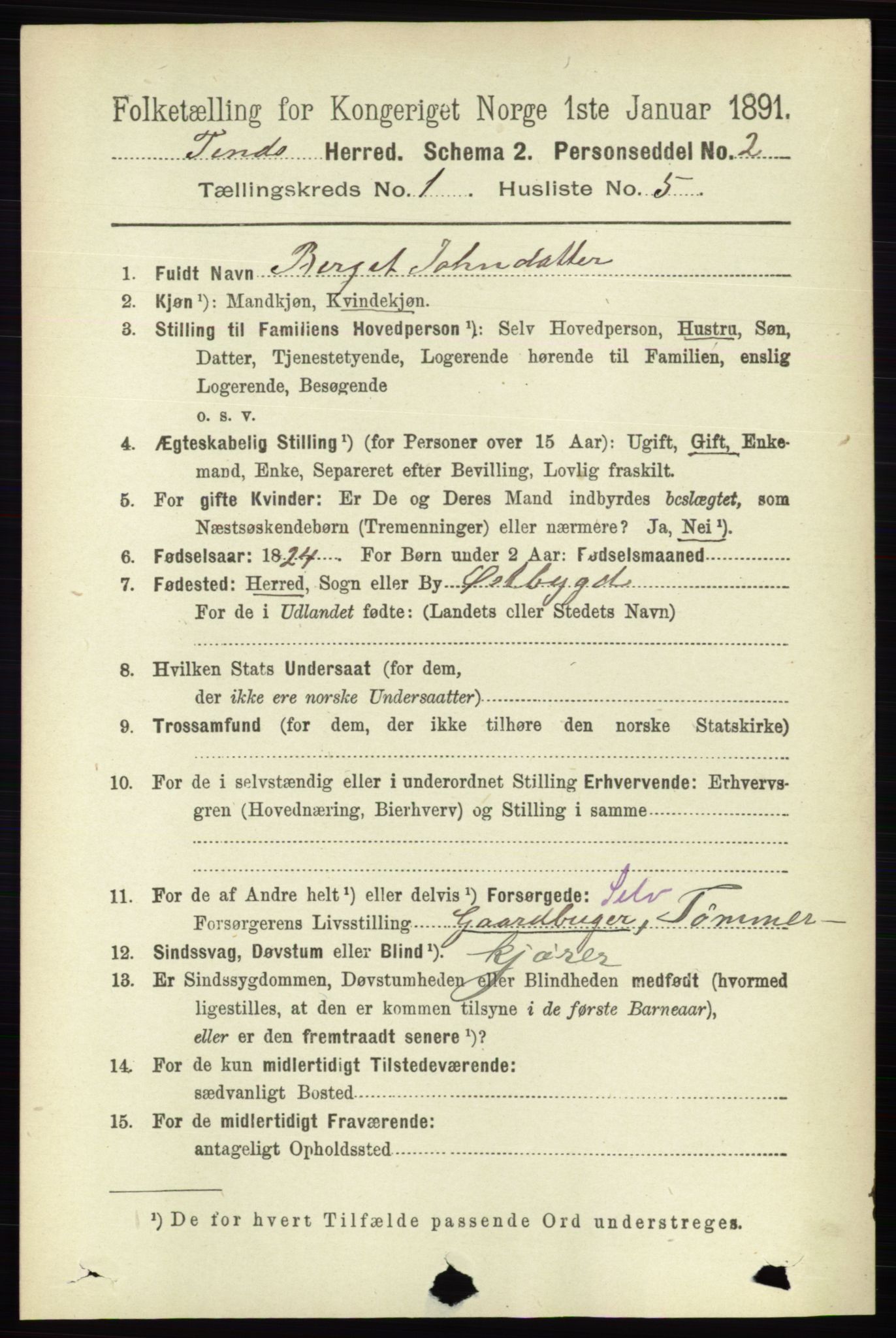 RA, 1891 census for 0826 Tinn, 1891, p. 75