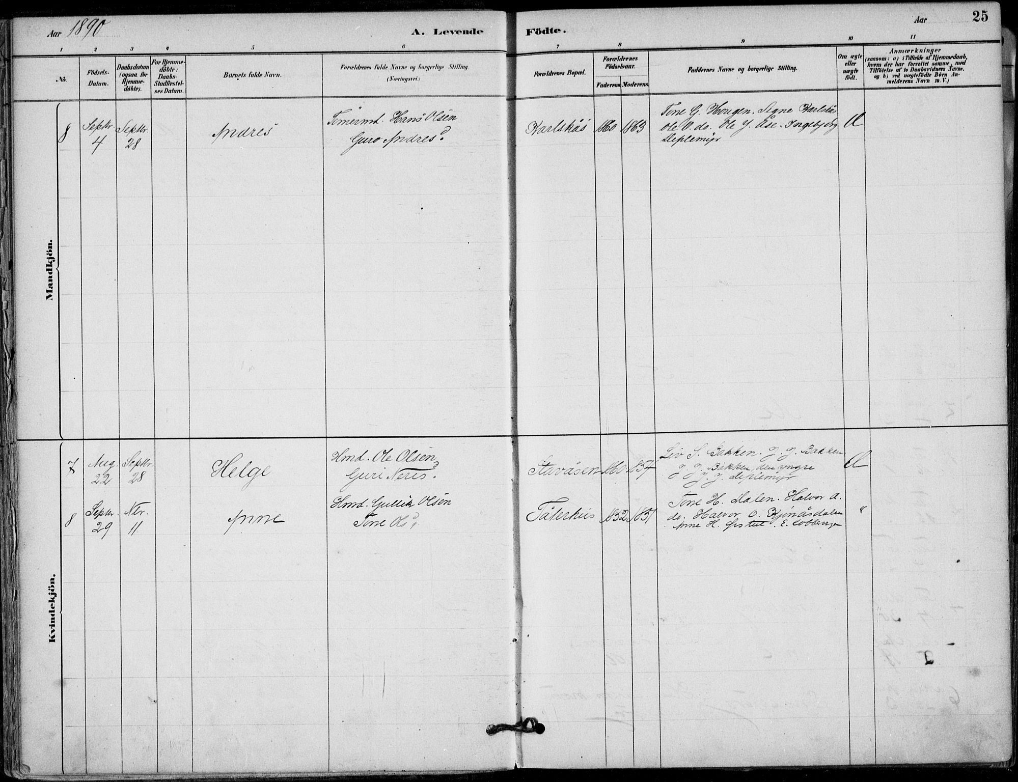 Hjartdal kirkebøker, AV/SAKO-A-270/F/Fb/L0002: Parish register (official) no. II 2, 1880-1932, p. 25