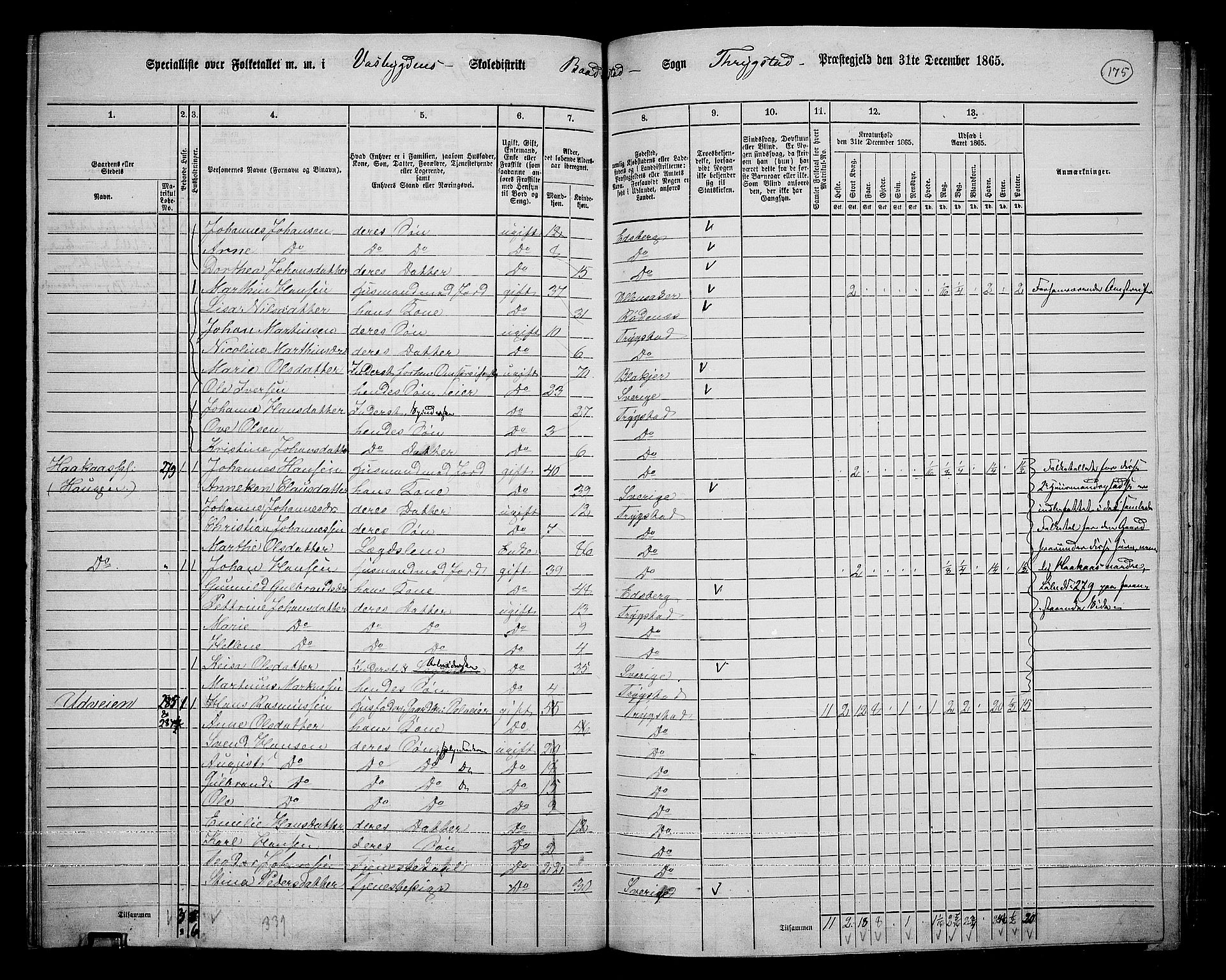 RA, 1865 census for Trøgstad, 1865, p. 155