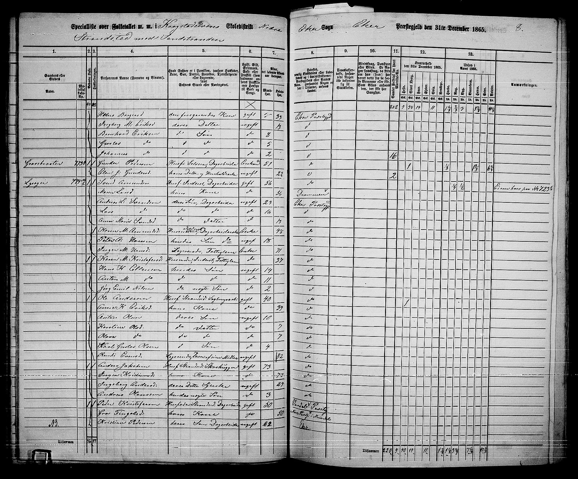 RA, 1865 census for Eiker, 1865, p. 374