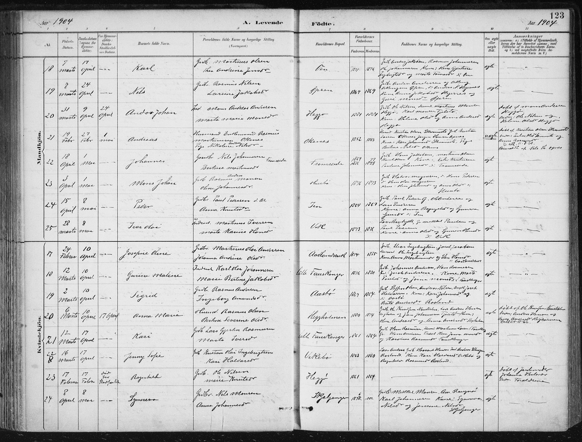 Herdla Sokneprestembete, SAB/A-75701/H/Haa: Parish register (official) no. A 4, 1891-1905, p. 123