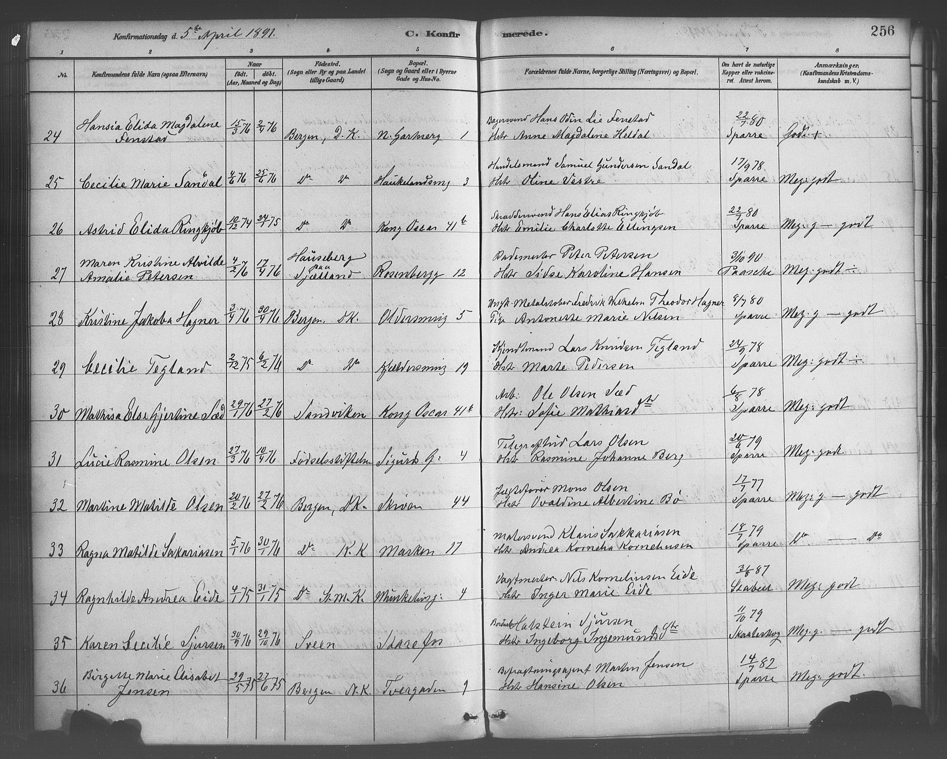 Domkirken sokneprestembete, AV/SAB-A-74801/H/Haa/L0030: Parish register (official) no. C 5, 1880-1898, p. 256