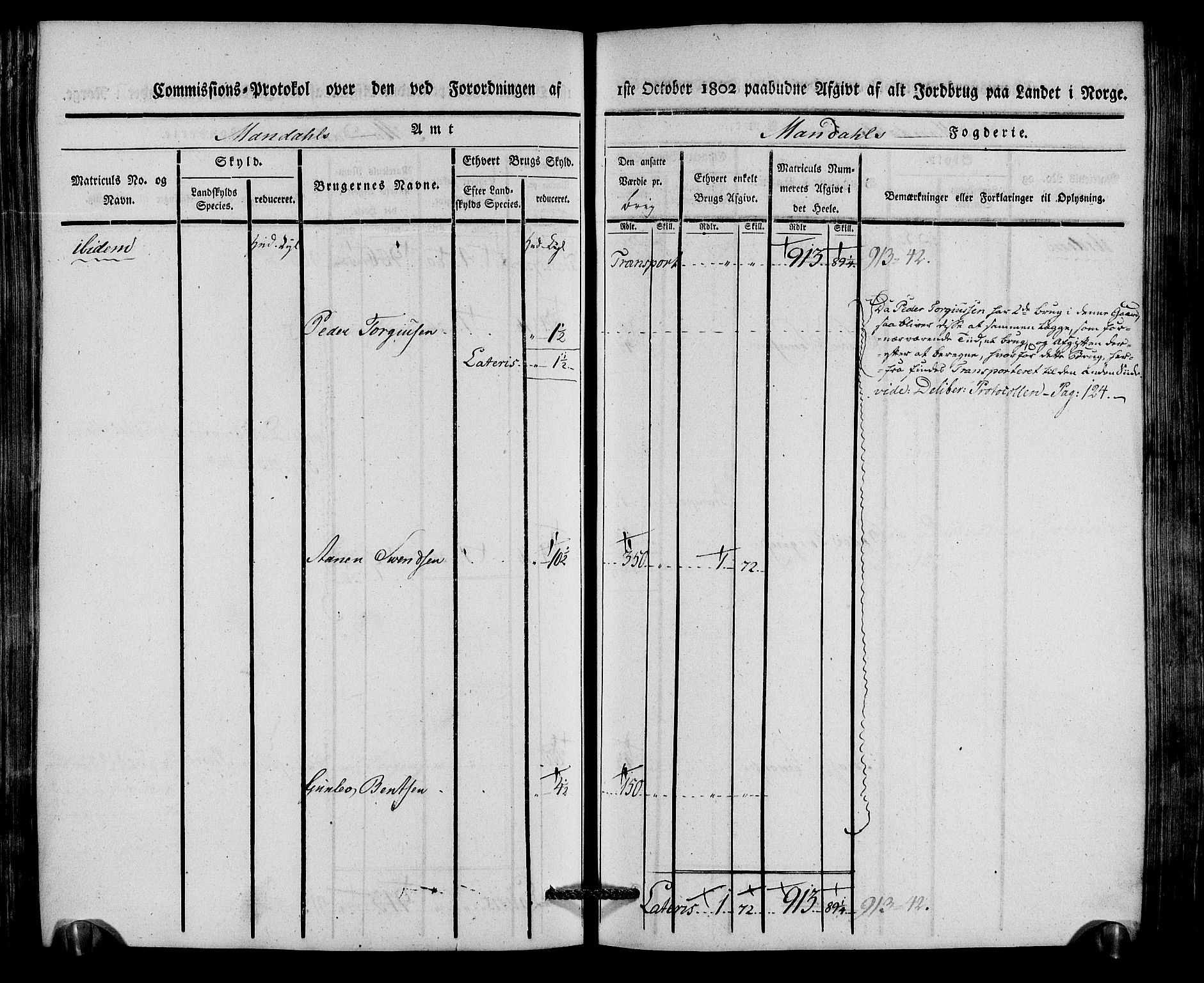 Rentekammeret inntil 1814, Realistisk ordnet avdeling, AV/RA-EA-4070/N/Ne/Nea/L0087: Mandal fogderi. Kommisjonsprotokoll "Nr. 1", for Holum, Halse, Harkmark, Øyslebø, Laudal og Finsland sogn, 1803, p. 207