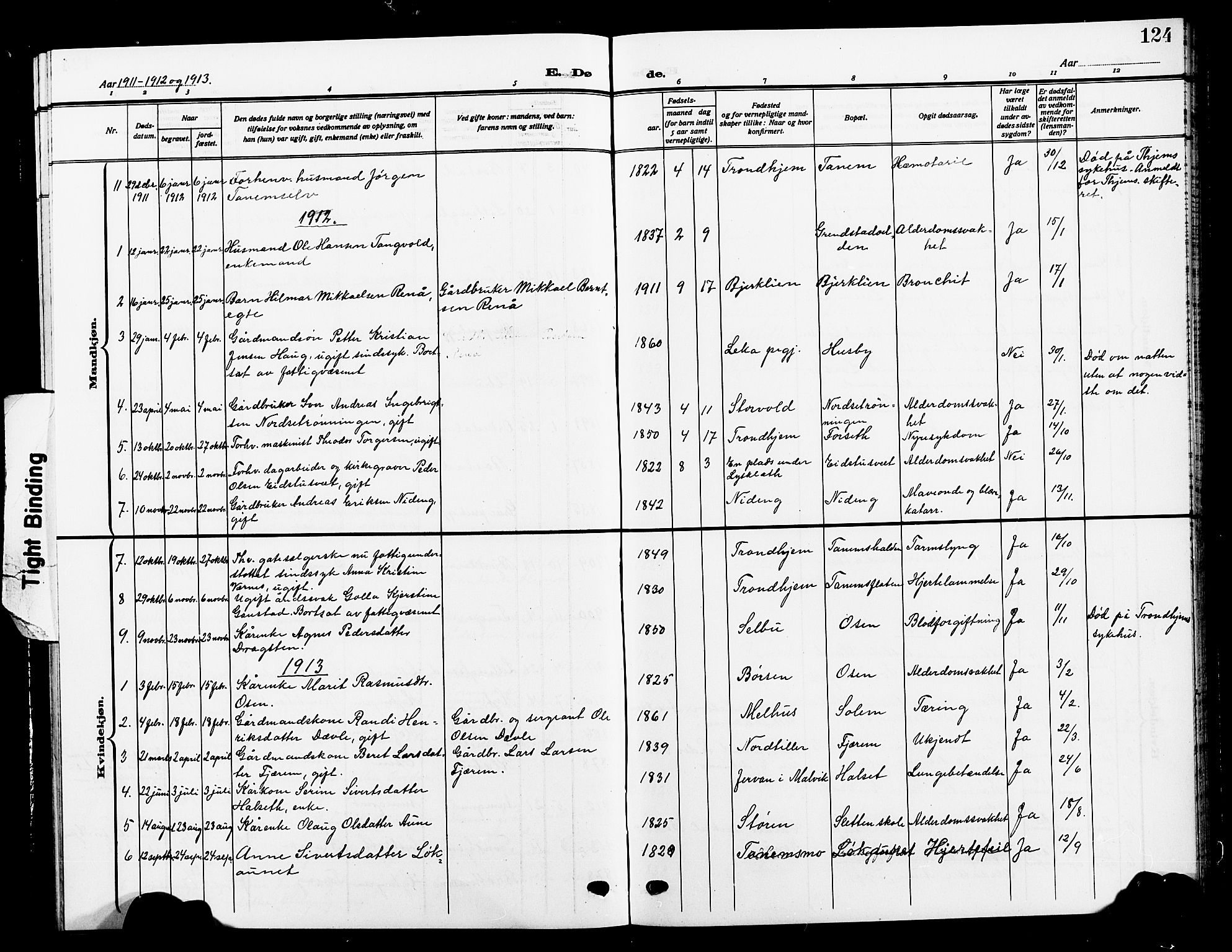 Ministerialprotokoller, klokkerbøker og fødselsregistre - Sør-Trøndelag, SAT/A-1456/618/L0453: Parish register (copy) no. 618C04, 1907-1925, p. 124