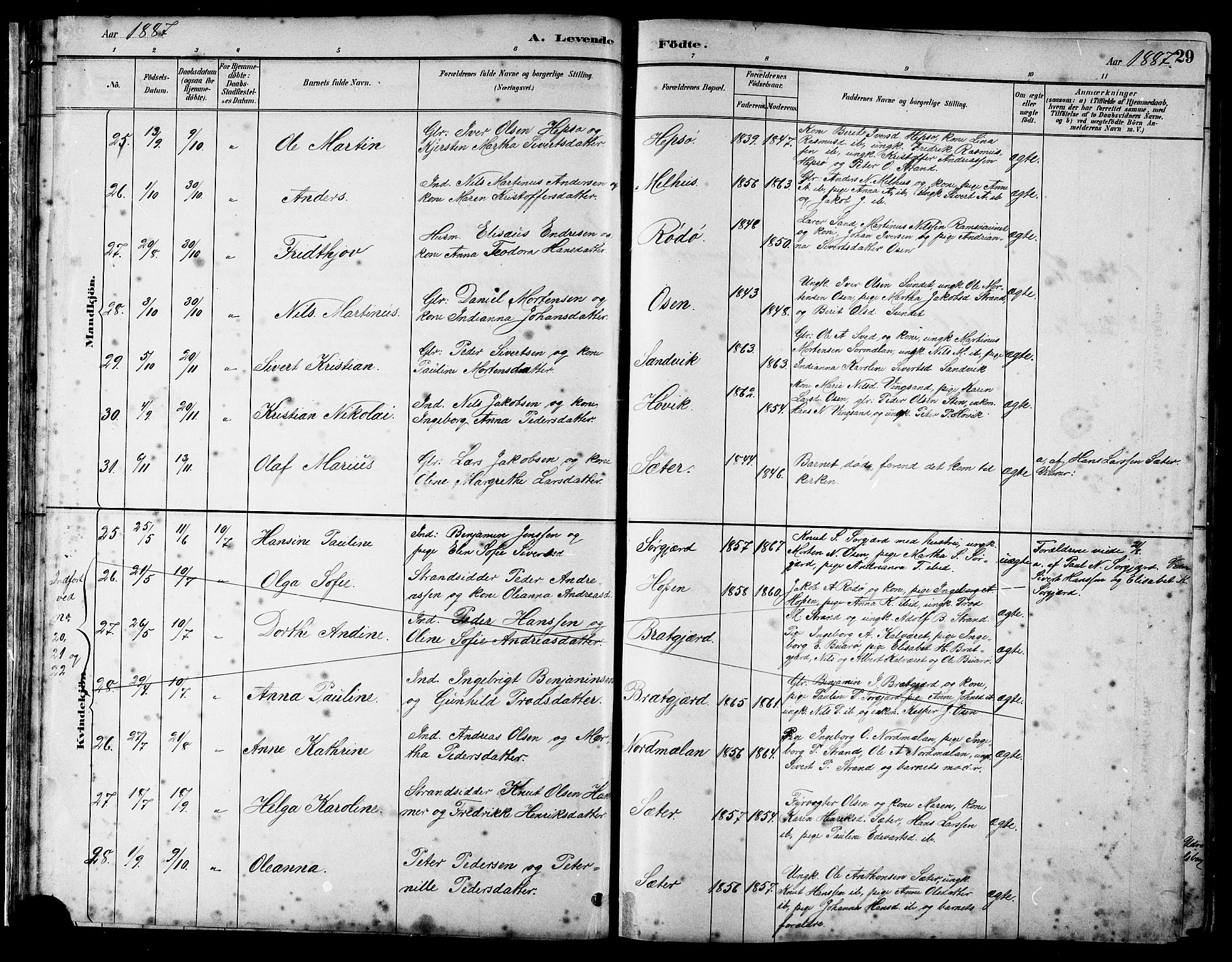 Ministerialprotokoller, klokkerbøker og fødselsregistre - Sør-Trøndelag, SAT/A-1456/658/L0726: Parish register (copy) no. 658C02, 1883-1908, p. 29