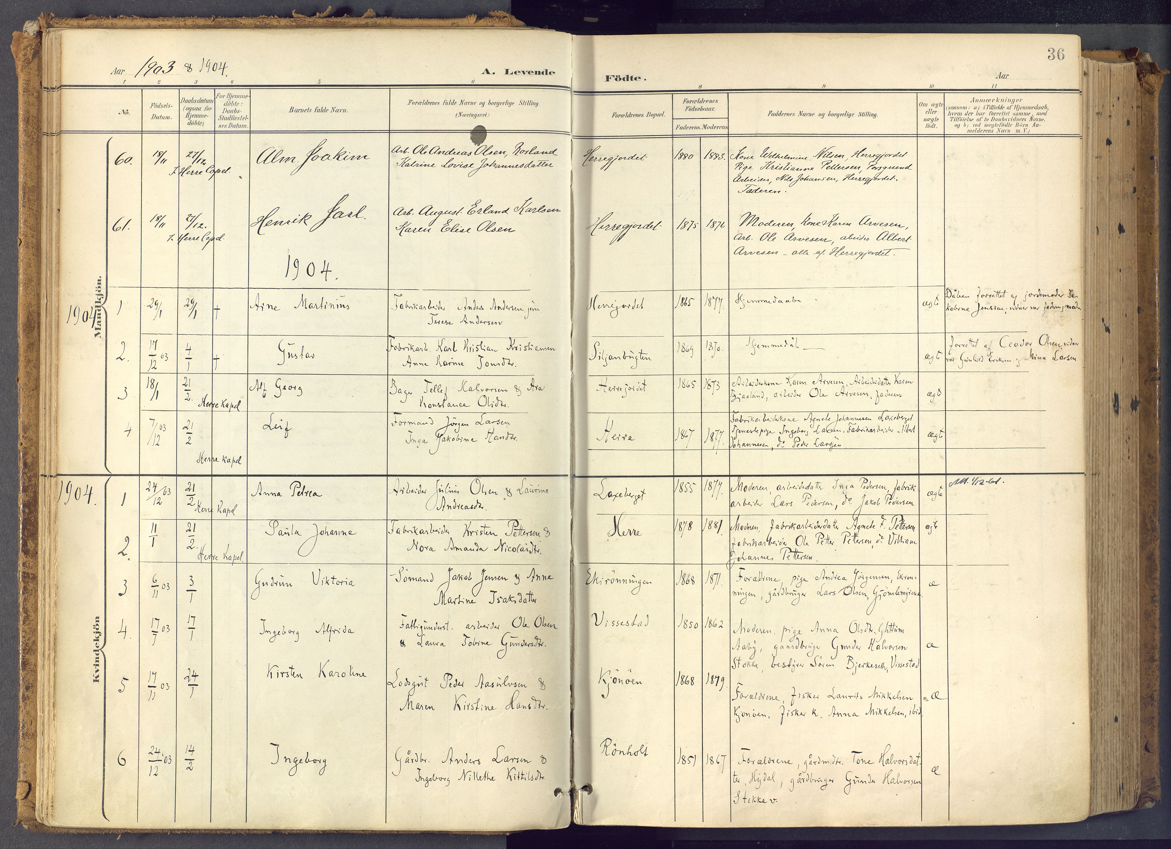 Bamble kirkebøker, SAKO/A-253/F/Fa/L0009: Parish register (official) no. I 9, 1901-1917, p. 36