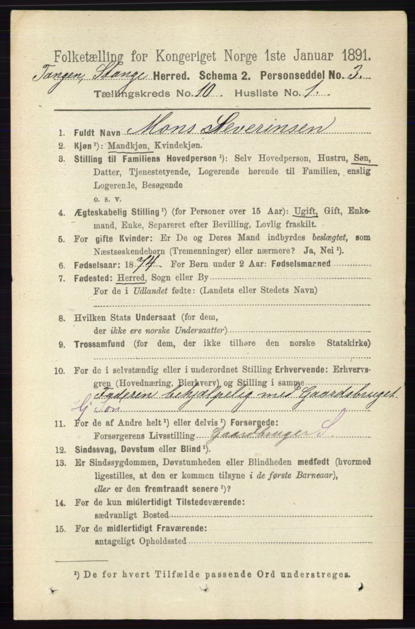 RA, 1891 census for 0417 Stange, 1891, p. 6802