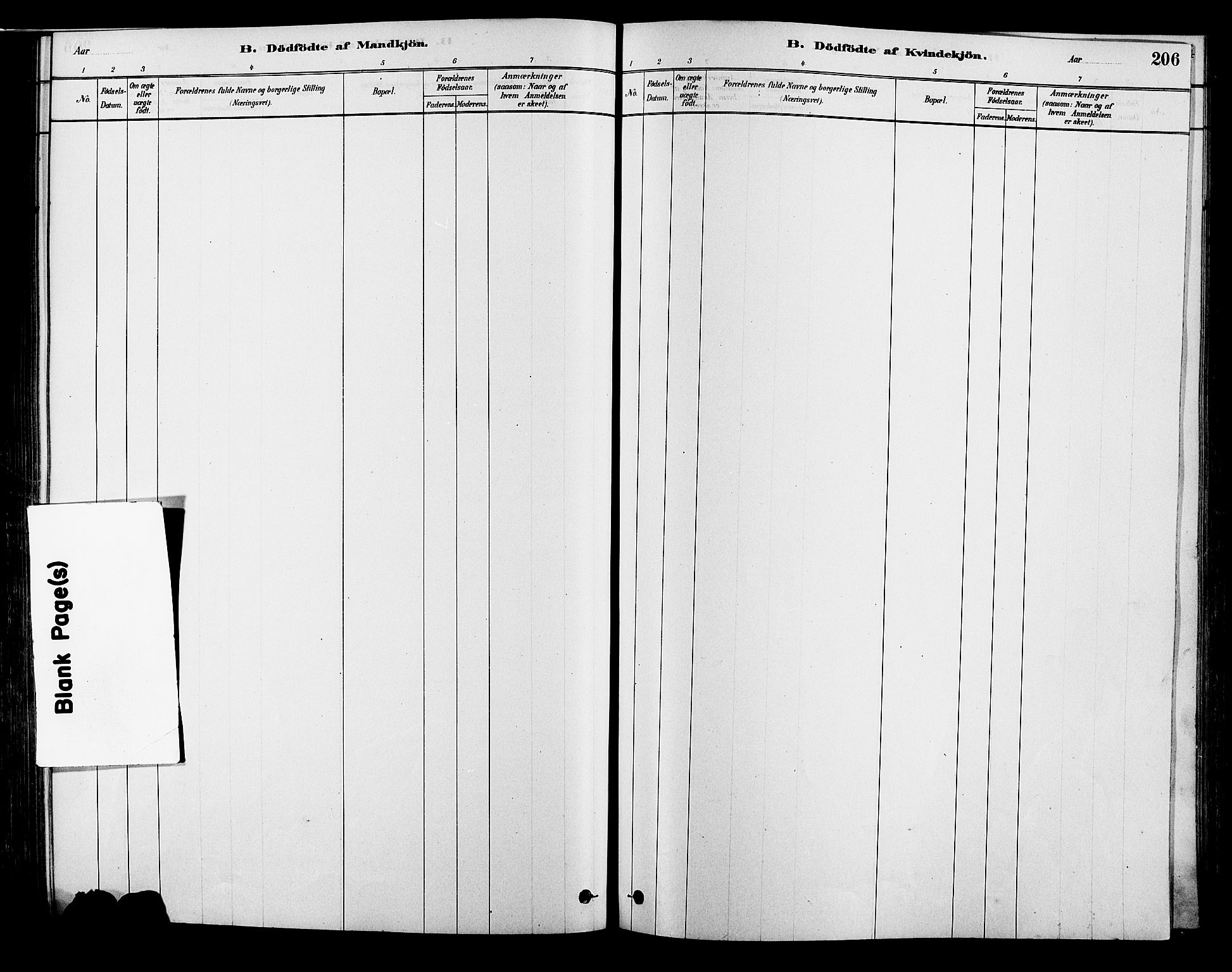 Alvdal prestekontor, SAH/PREST-060/H/Ha/Hab/L0003: Parish register (copy) no. 3, 1878-1907, p. 206