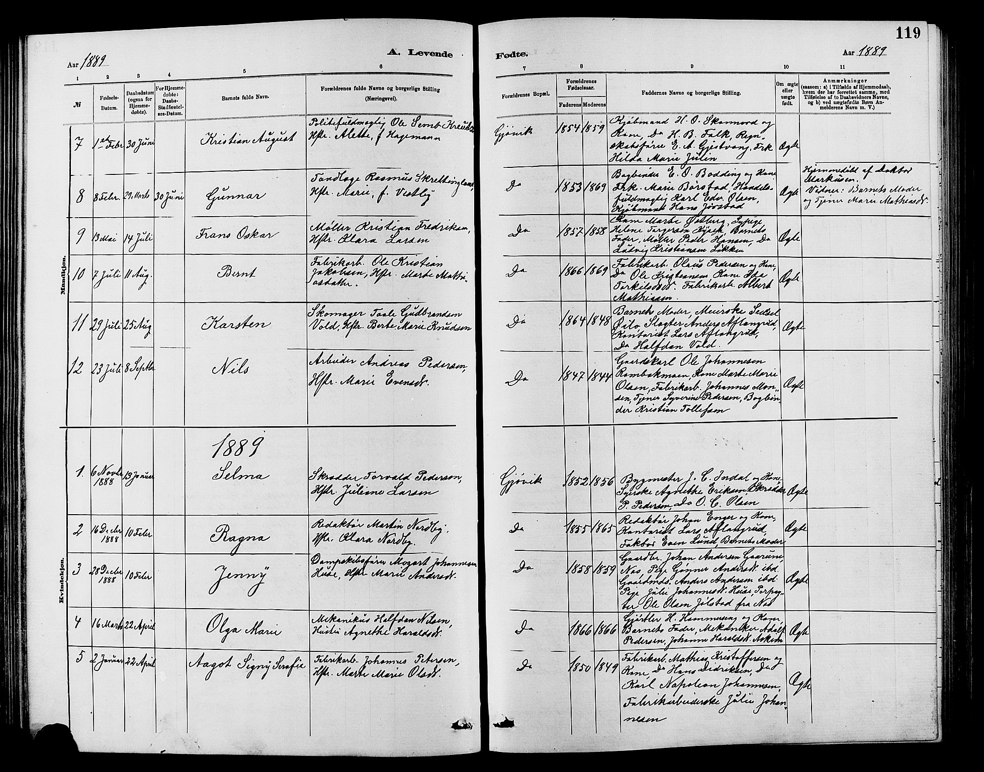 Vardal prestekontor, SAH/PREST-100/H/Ha/Hab/L0007: Parish register (copy) no. 7 /2, 1881-1895, p. 119