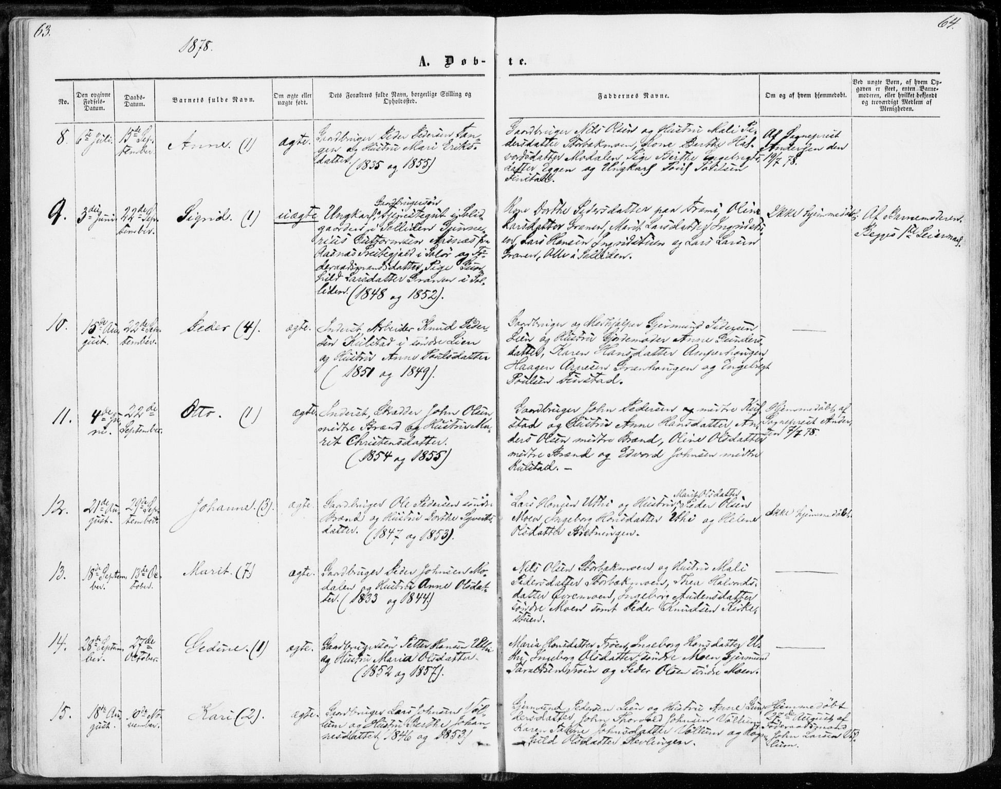 Sollia prestekontor, AV/SAH-PREST-050/H/Ha/Haa/L0001: Parish register (official) no. 1, 1856-1885, p. 63-64