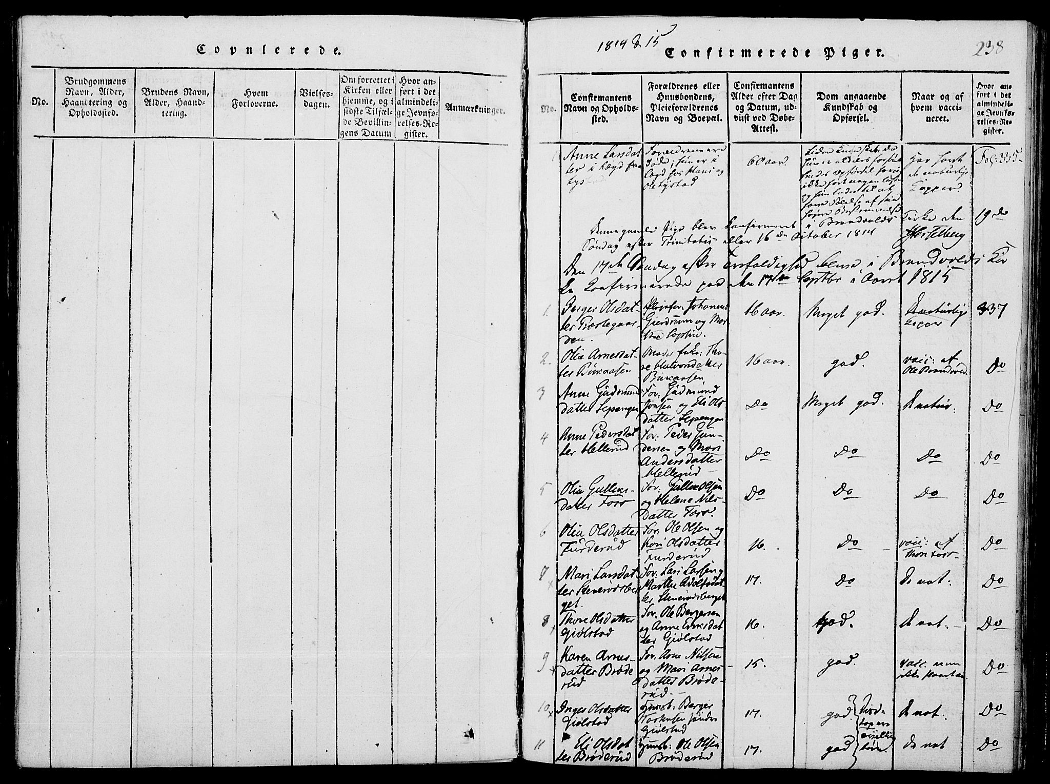 Grue prestekontor, SAH/PREST-036/H/Ha/Hab/L0001: Parish register (copy) no. 1, 1814-1841, p. 238