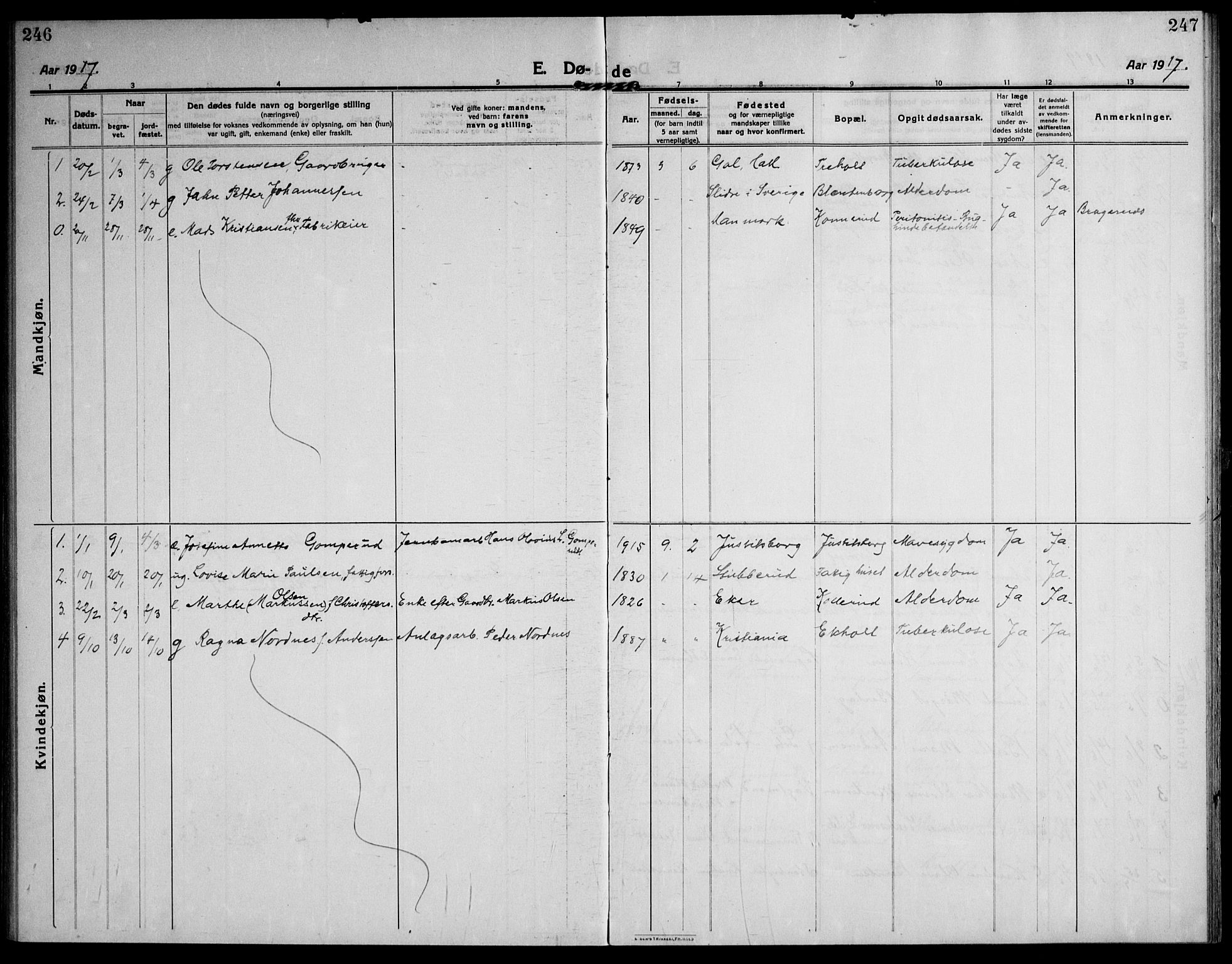 Skoger kirkebøker, AV/SAKO-A-59/F/Fb/L0002: Parish register (official) no. II 2, 1914-1941, p. 246-247