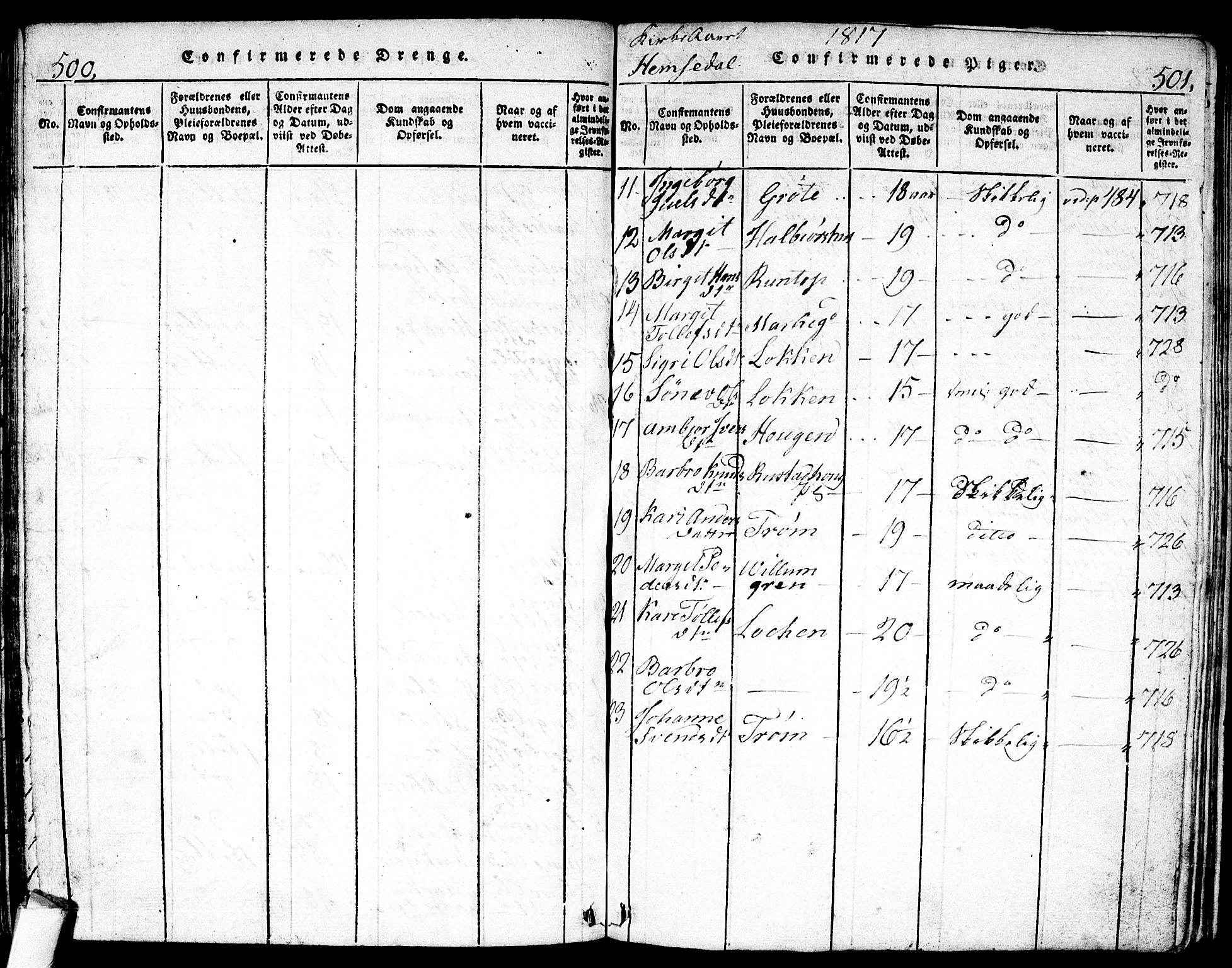 Nes kirkebøker, AV/SAKO-A-236/F/Fa/L0007: Parish register (official) no. 7, 1815-1823, p. 500-501