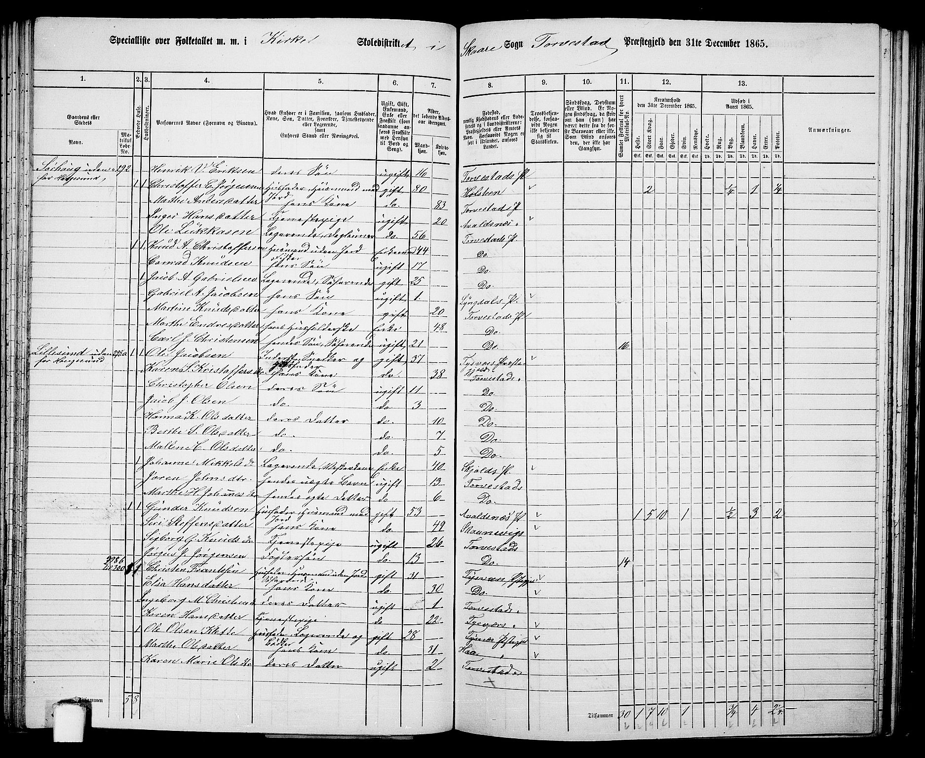 RA, 1865 census for Torvastad/Torvastad, Skåre og Utsira, 1865, p. 94