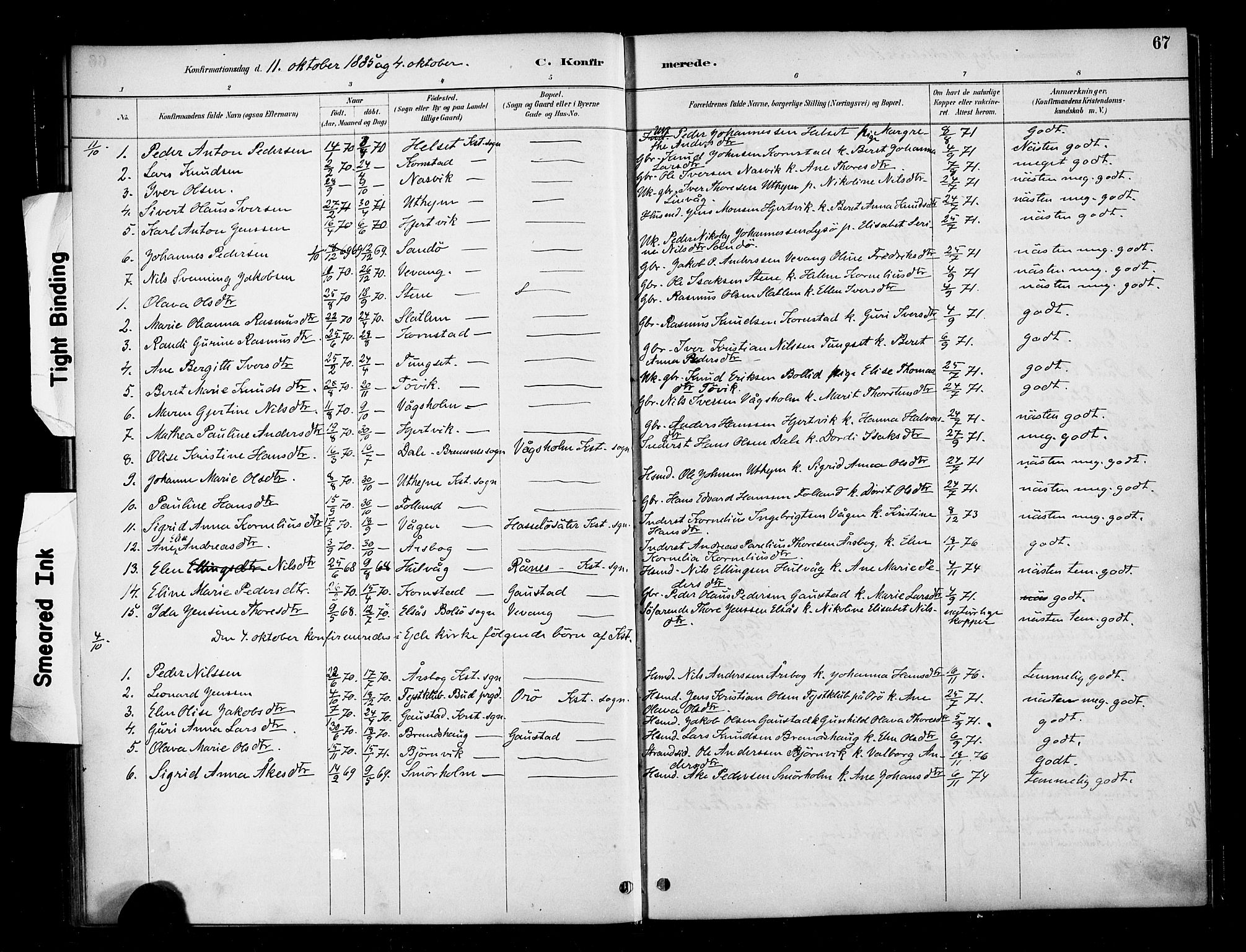 Ministerialprotokoller, klokkerbøker og fødselsregistre - Møre og Romsdal, SAT/A-1454/570/L0832: Parish register (official) no. 570A06, 1885-1900, p. 67