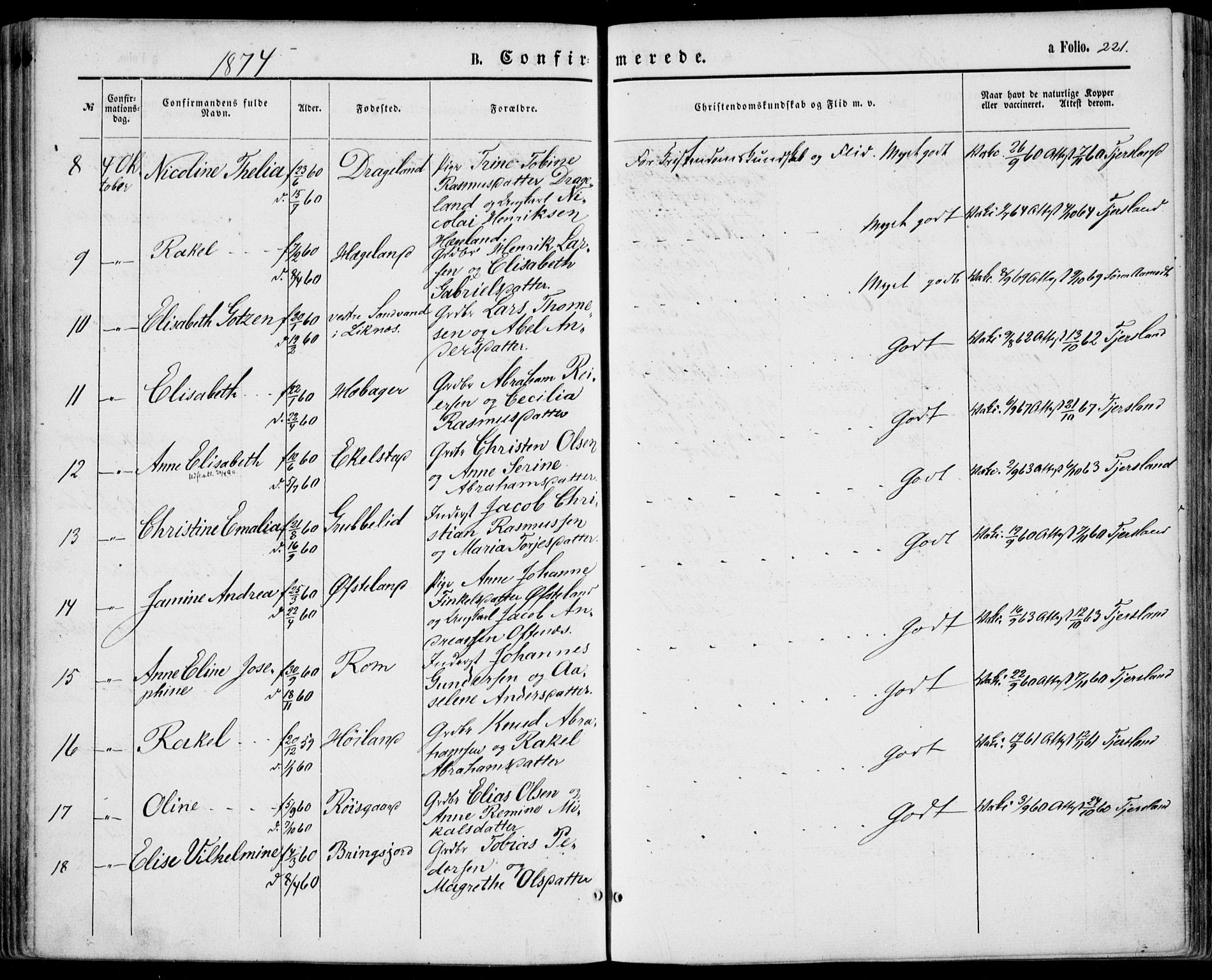 Lyngdal sokneprestkontor, SAK/1111-0029/F/Fa/Fac/L0010: Parish register (official) no. A 10, 1865-1878, p. 221
