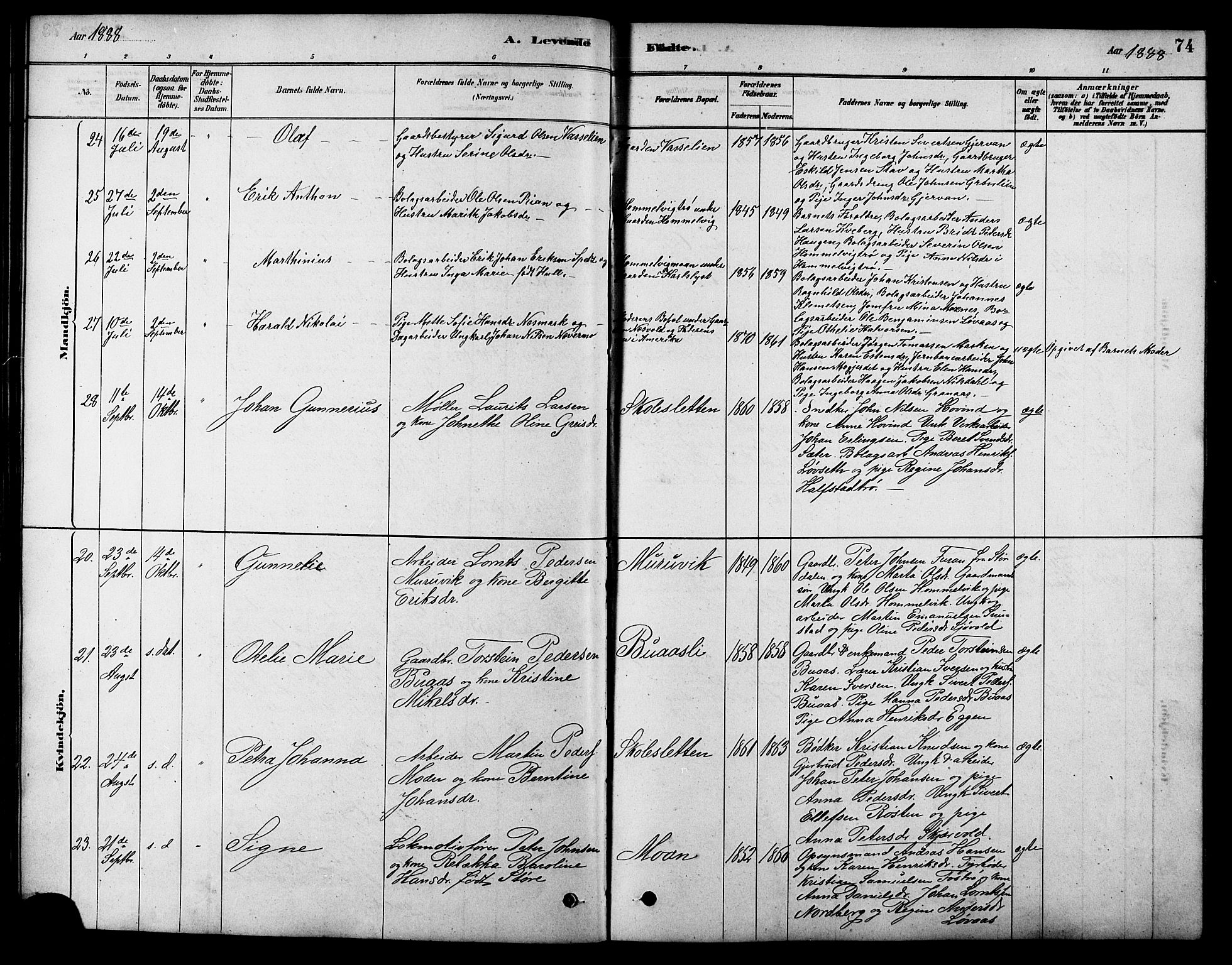 Ministerialprotokoller, klokkerbøker og fødselsregistre - Sør-Trøndelag, AV/SAT-A-1456/616/L0423: Parish register (copy) no. 616C06, 1878-1903, p. 74