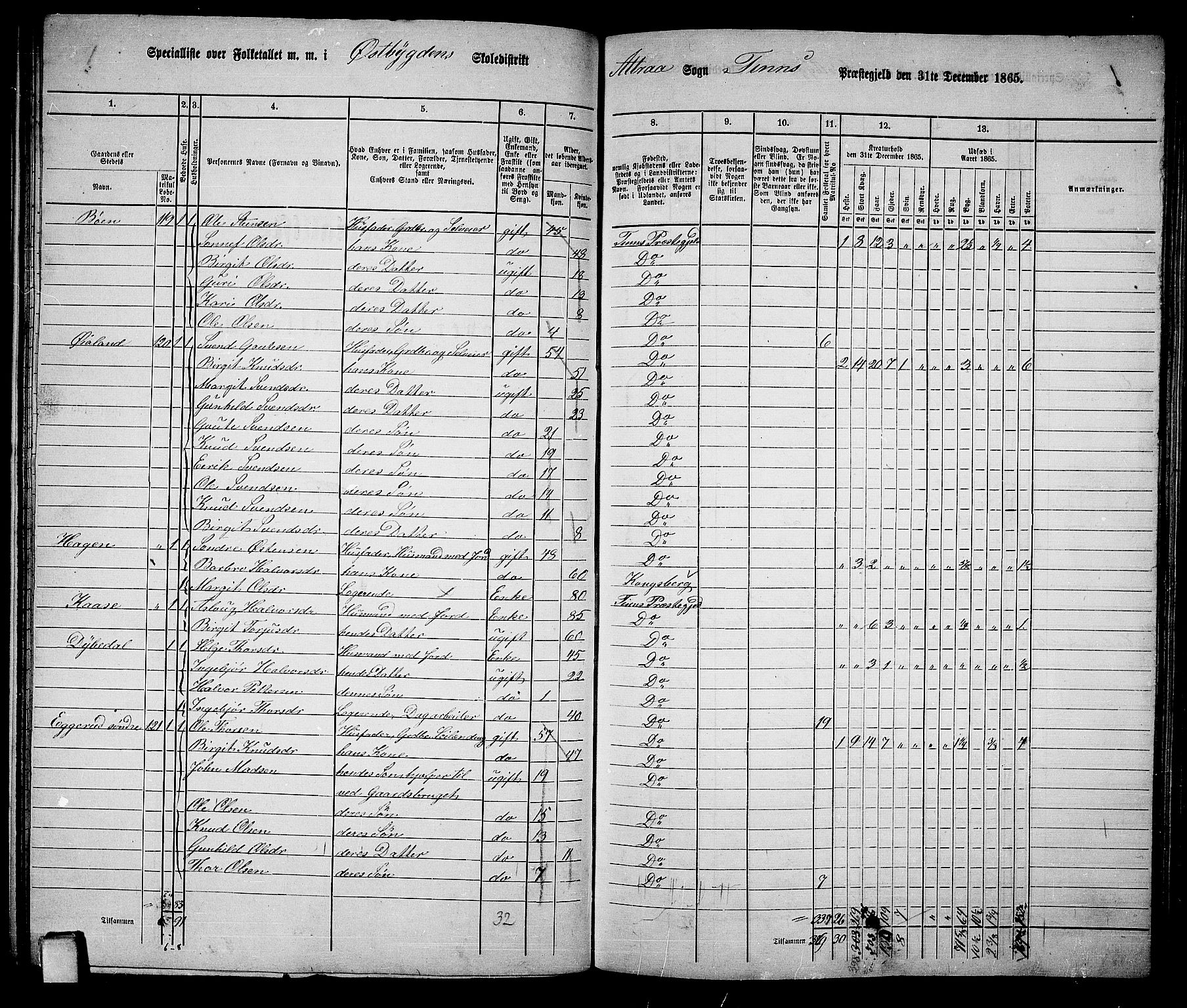 RA, 1865 census for Tinn, 1865, p. 22