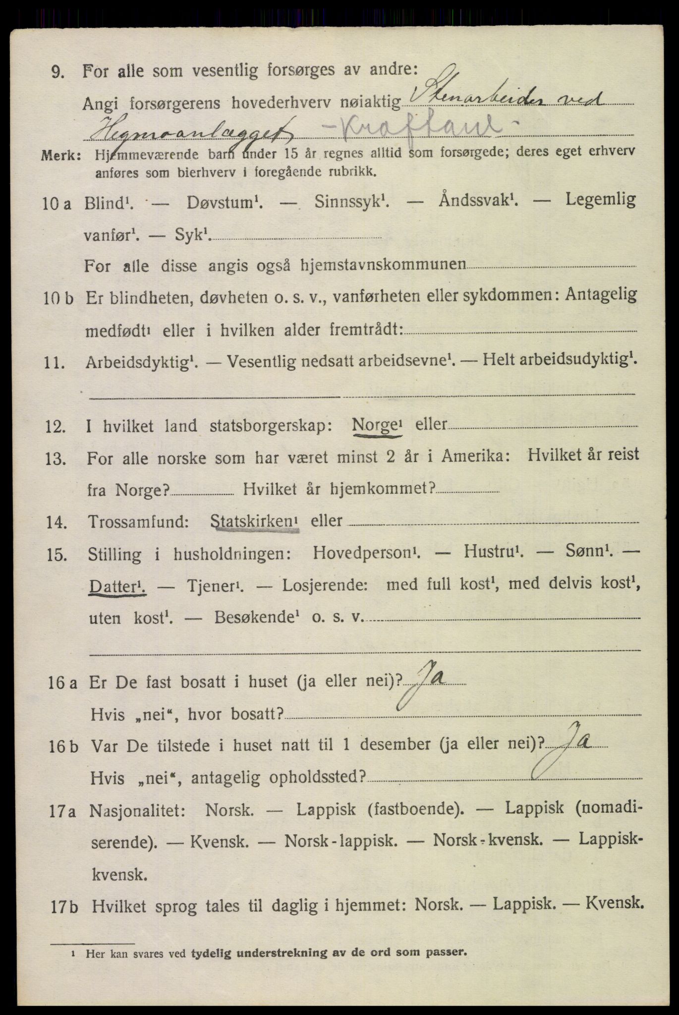 SAT, 1920 census for Skjerstad, 1920, p. 920