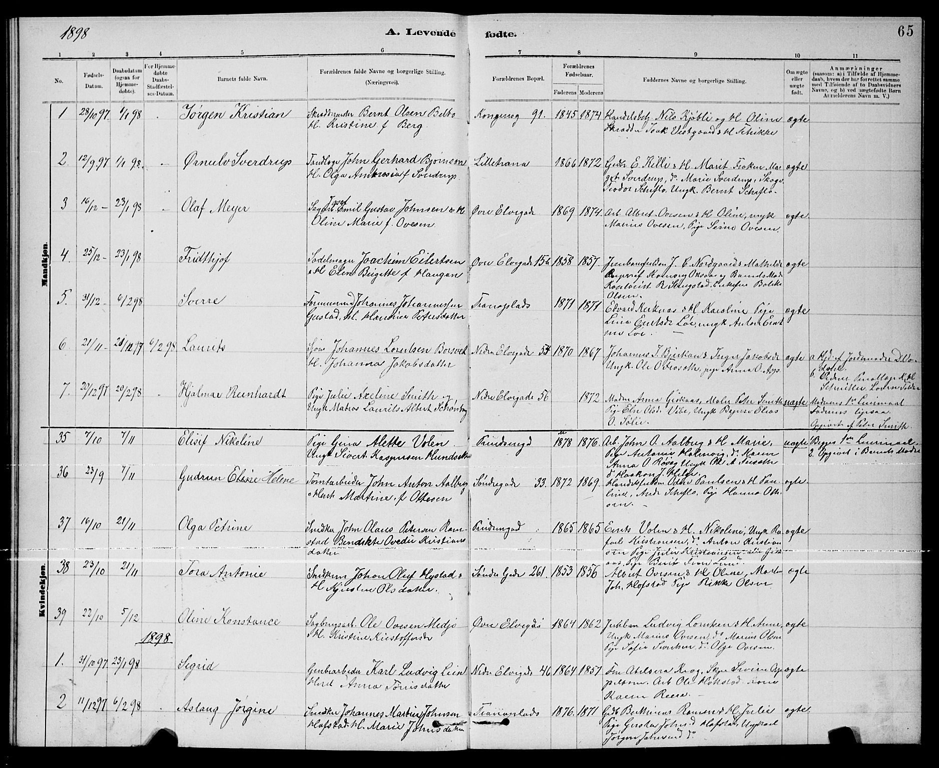 Ministerialprotokoller, klokkerbøker og fødselsregistre - Nord-Trøndelag, AV/SAT-A-1458/739/L0374: Parish register (copy) no. 739C02, 1883-1898, p. 65