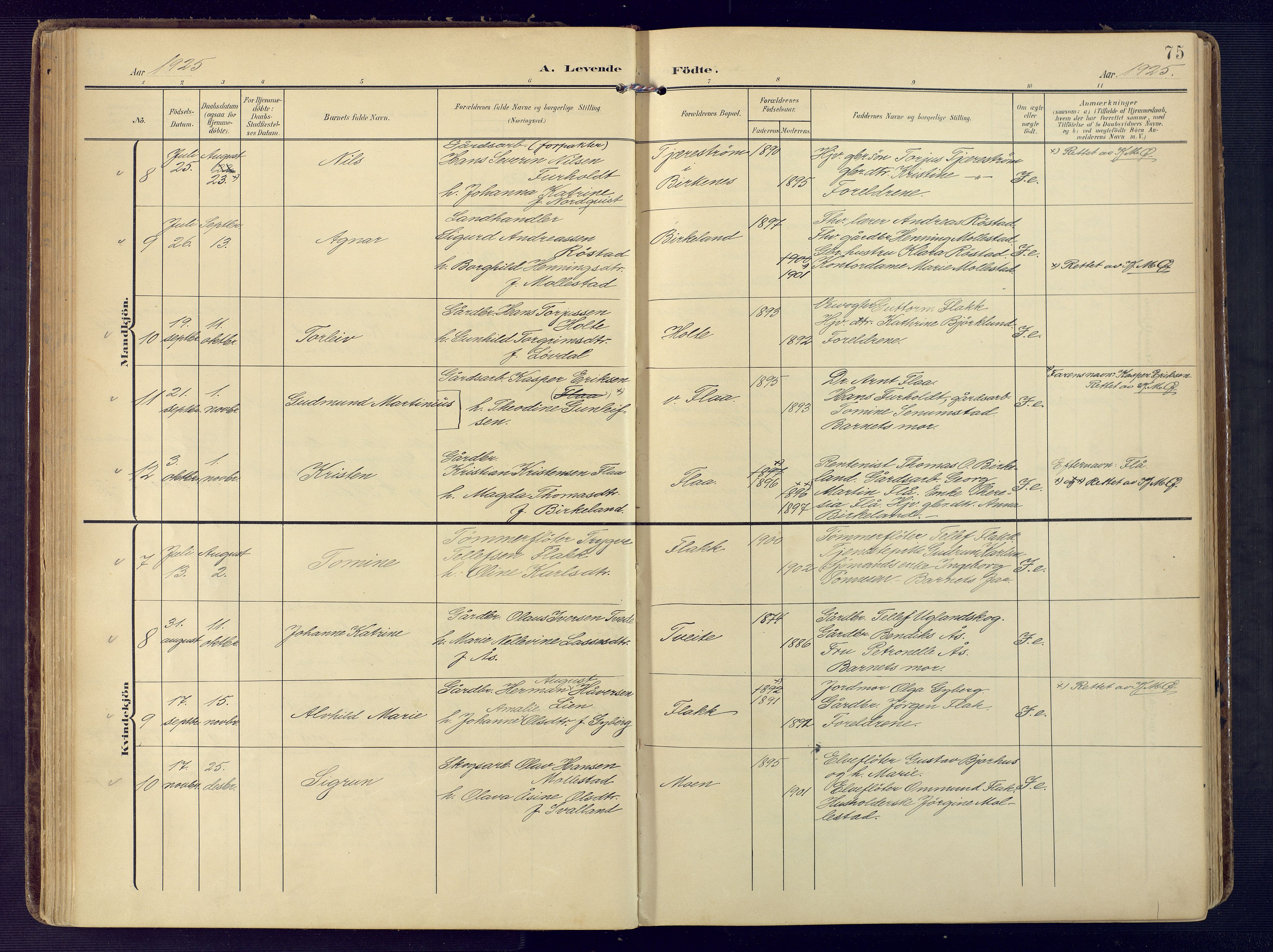 Birkenes sokneprestkontor, AV/SAK-1111-0004/F/Fa/L0006: Parish register (official) no. A 6, 1908-1932, p. 75