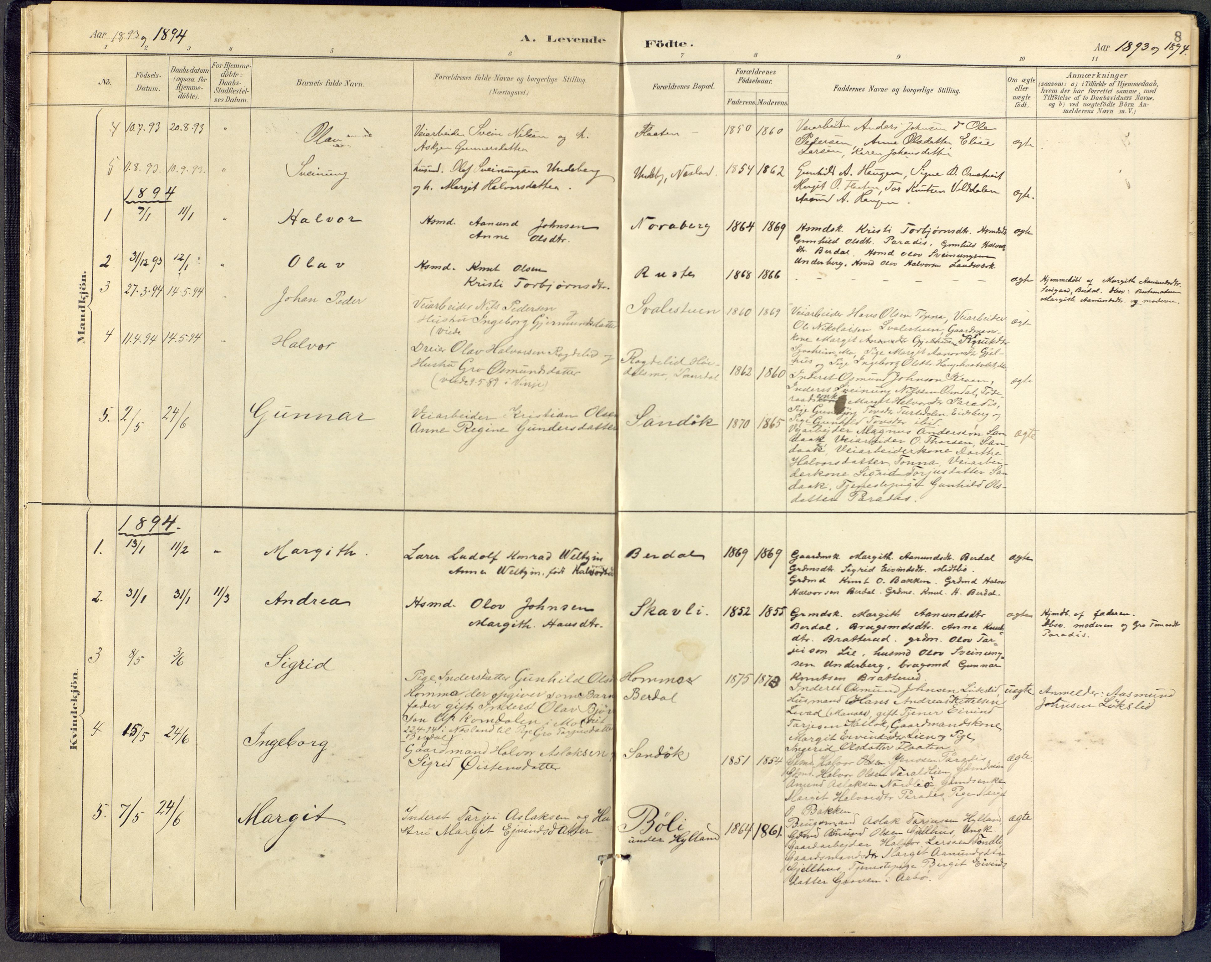 Vinje kirkebøker, SAKO/A-312/F/Fb/L0002: Parish register (official) no. II 2, 1887-1925, p. 8