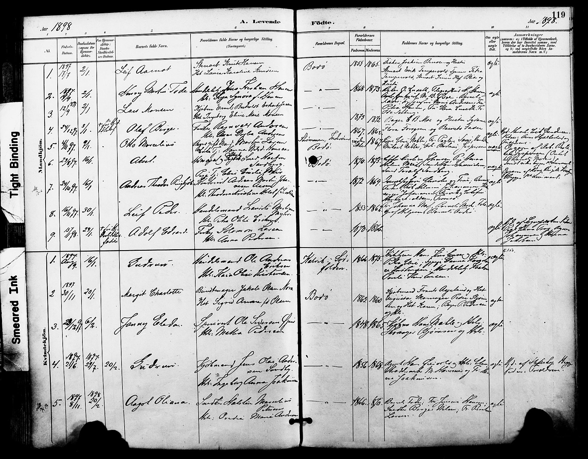 Ministerialprotokoller, klokkerbøker og fødselsregistre - Nordland, SAT/A-1459/801/L0010: Parish register (official) no. 801A10, 1888-1899, p. 119