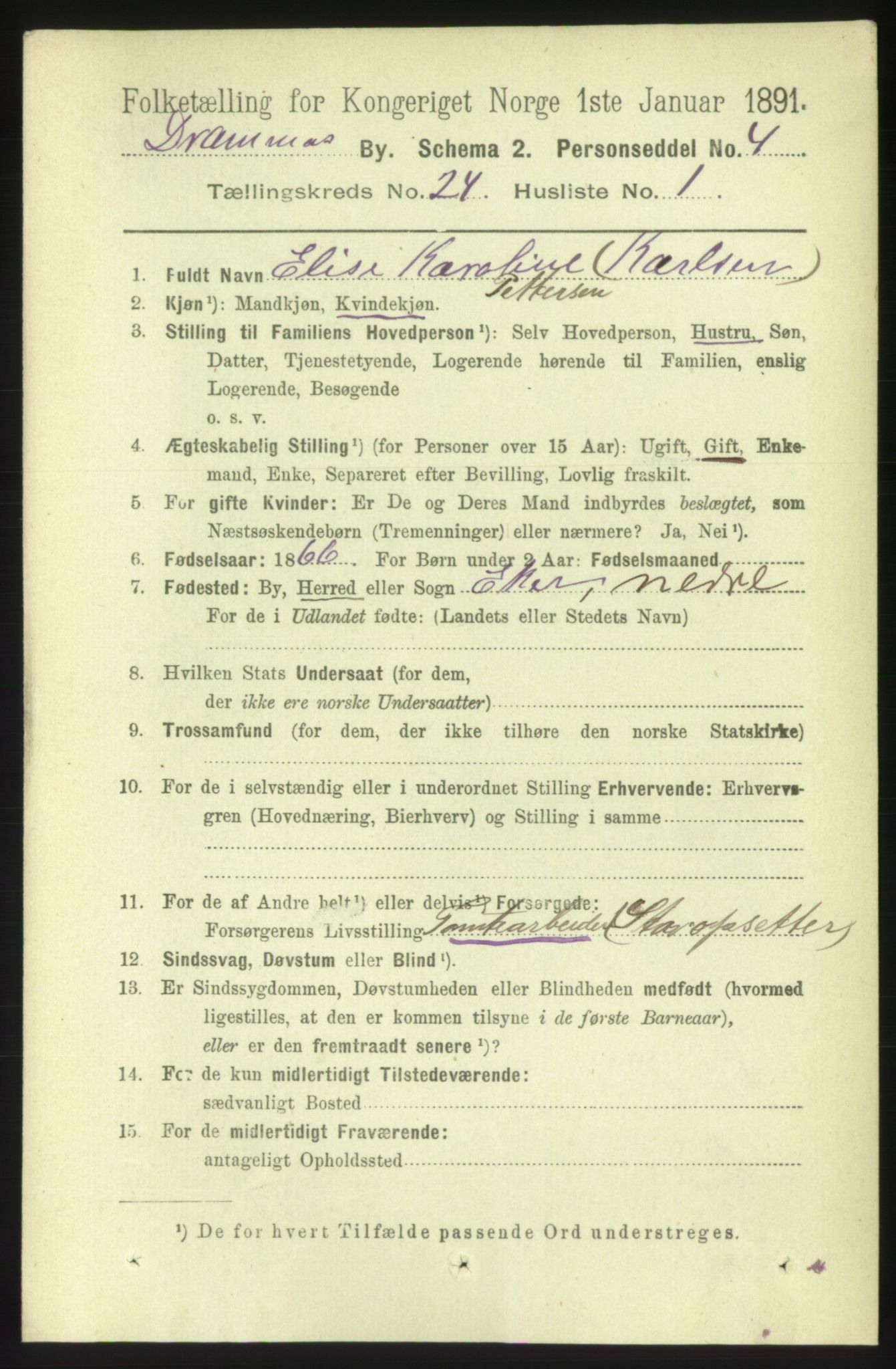 RA, 1891 census for 0602 Drammen, 1891, p. 14720